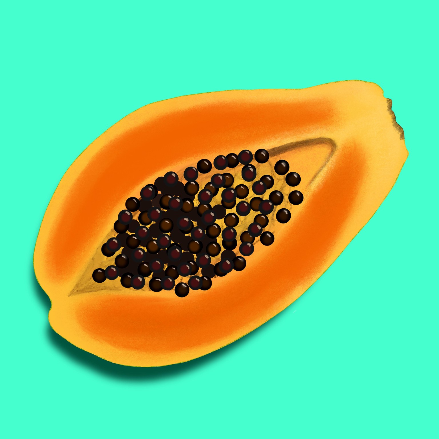 My Fruit Basket - image 2 - student project