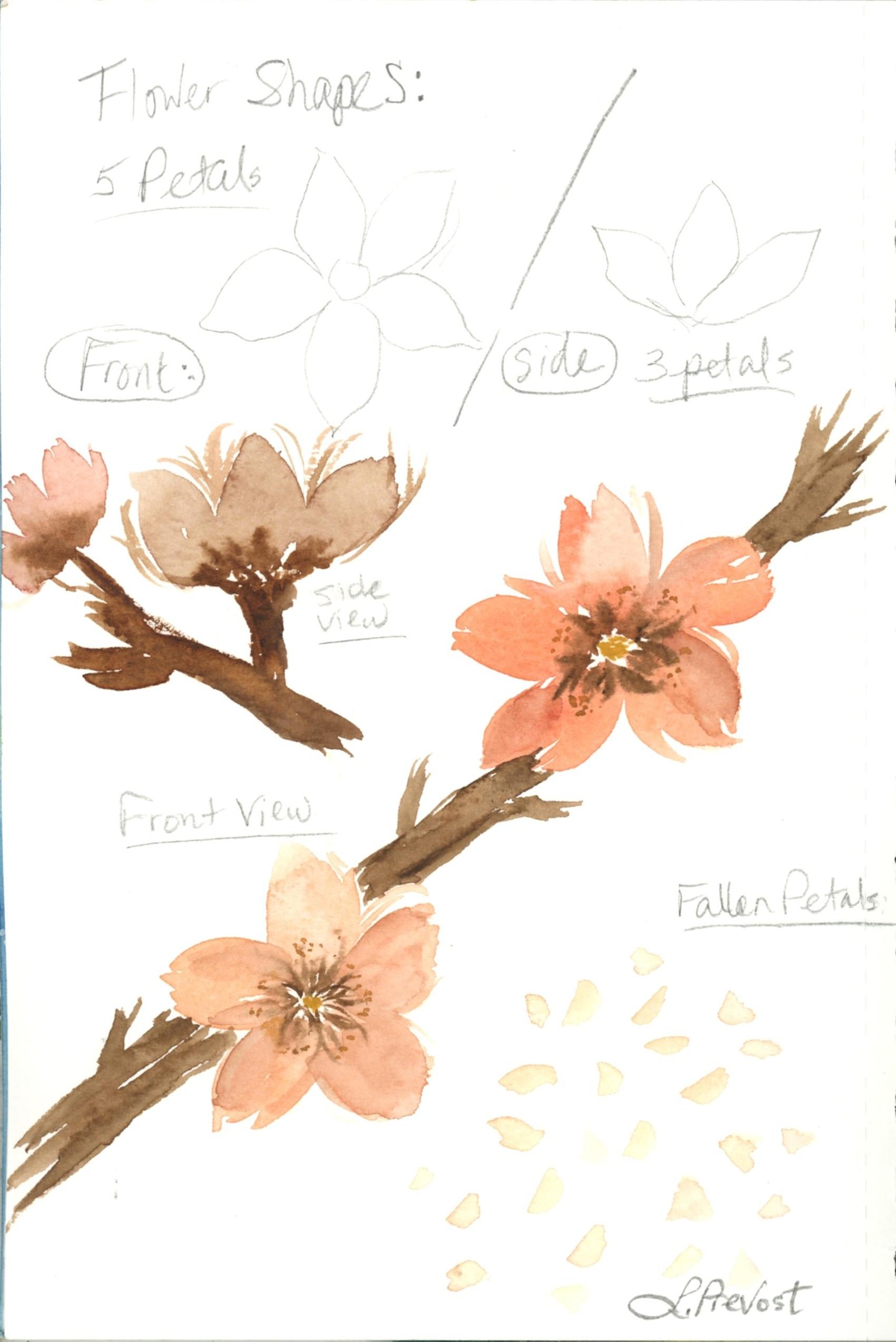 Cherry Blossom Fun with Jenny Flores Art - image 2 - student project