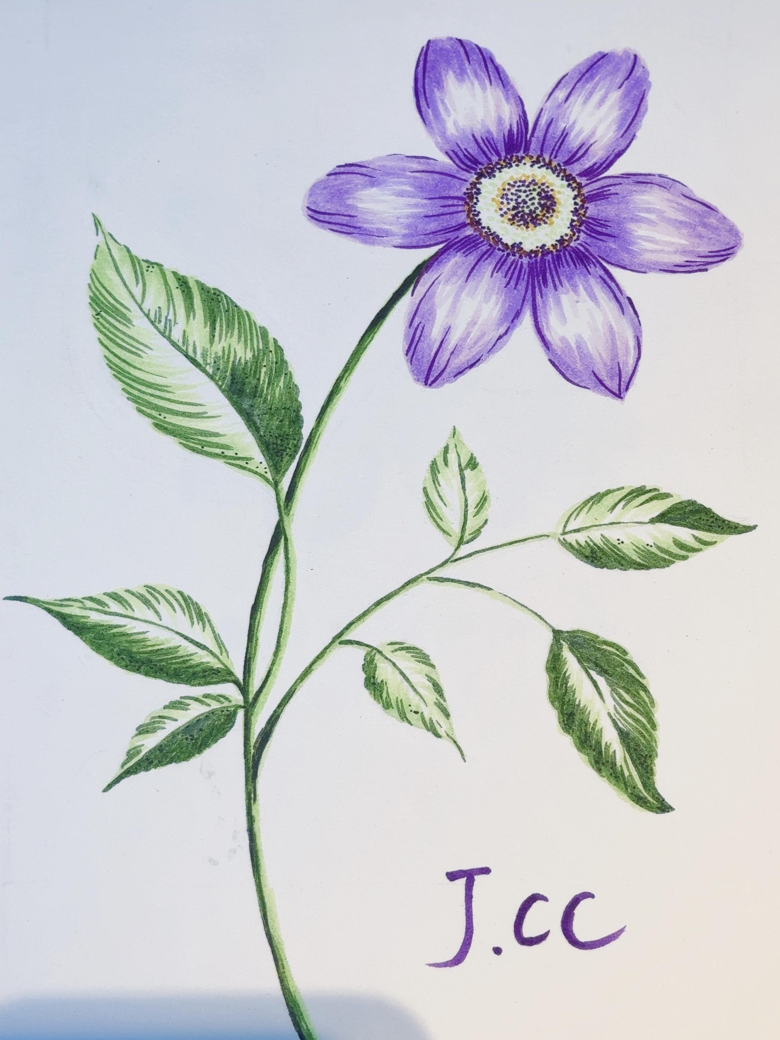 No pressure with brush markers - image 3 - student project