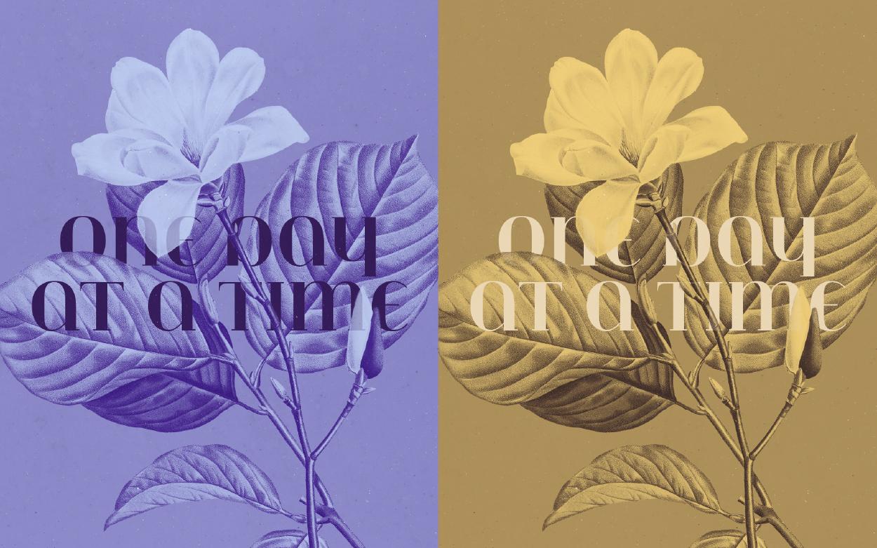 Botanical Greeting Cards - image 9 - student project