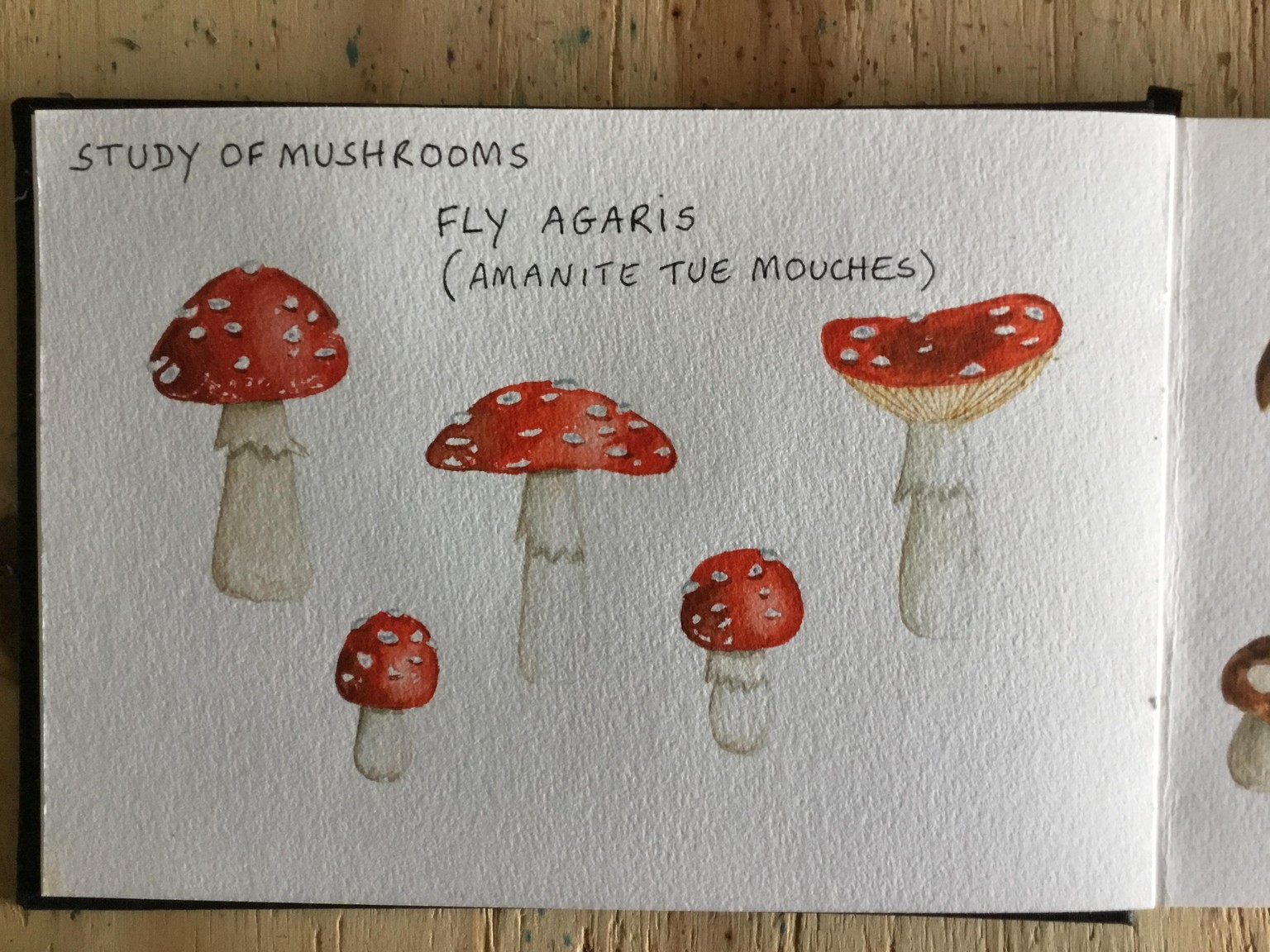 Autumn in Watercolour - image 2 - student project