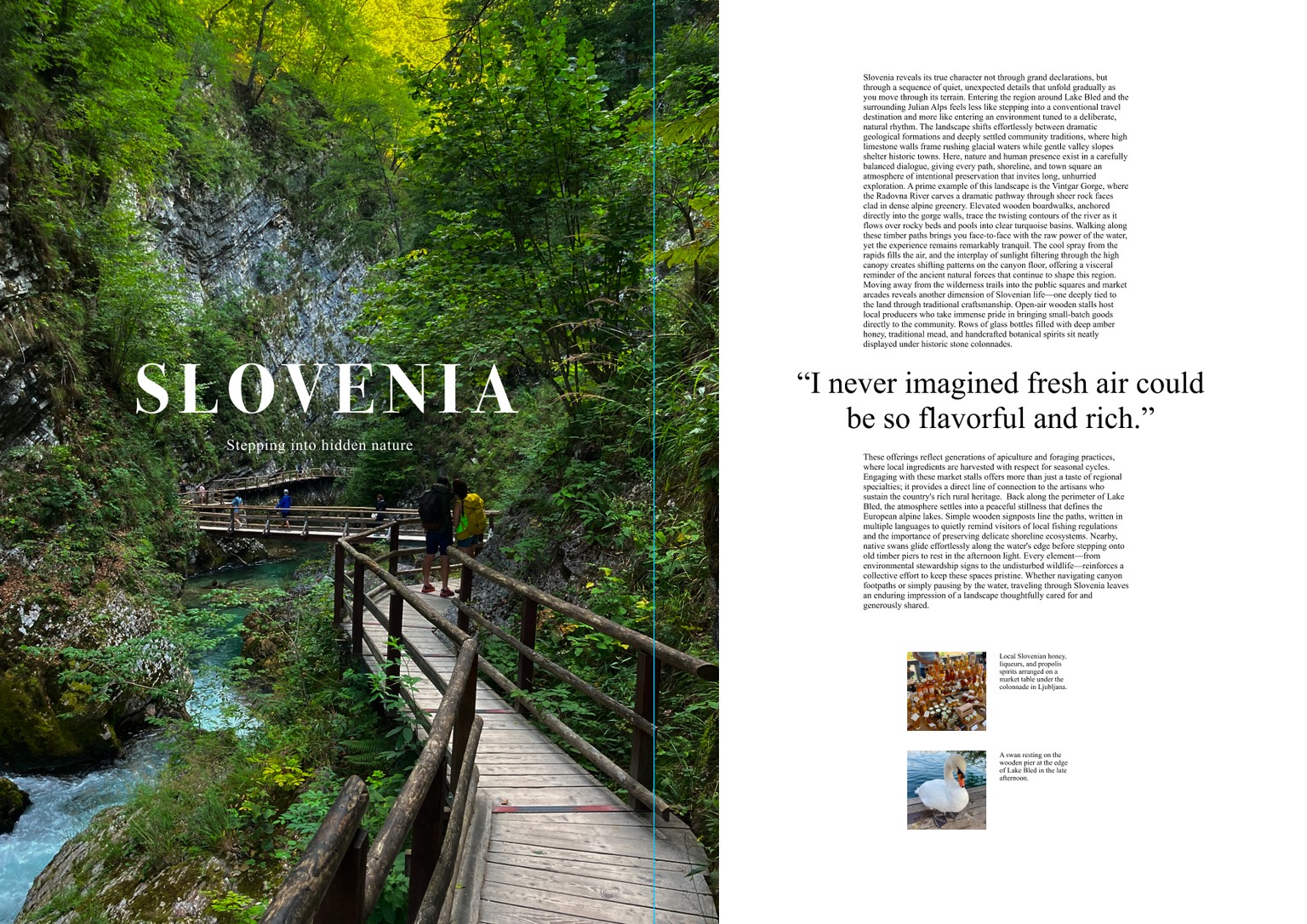 Trip To Slovenia - image 1 - student project