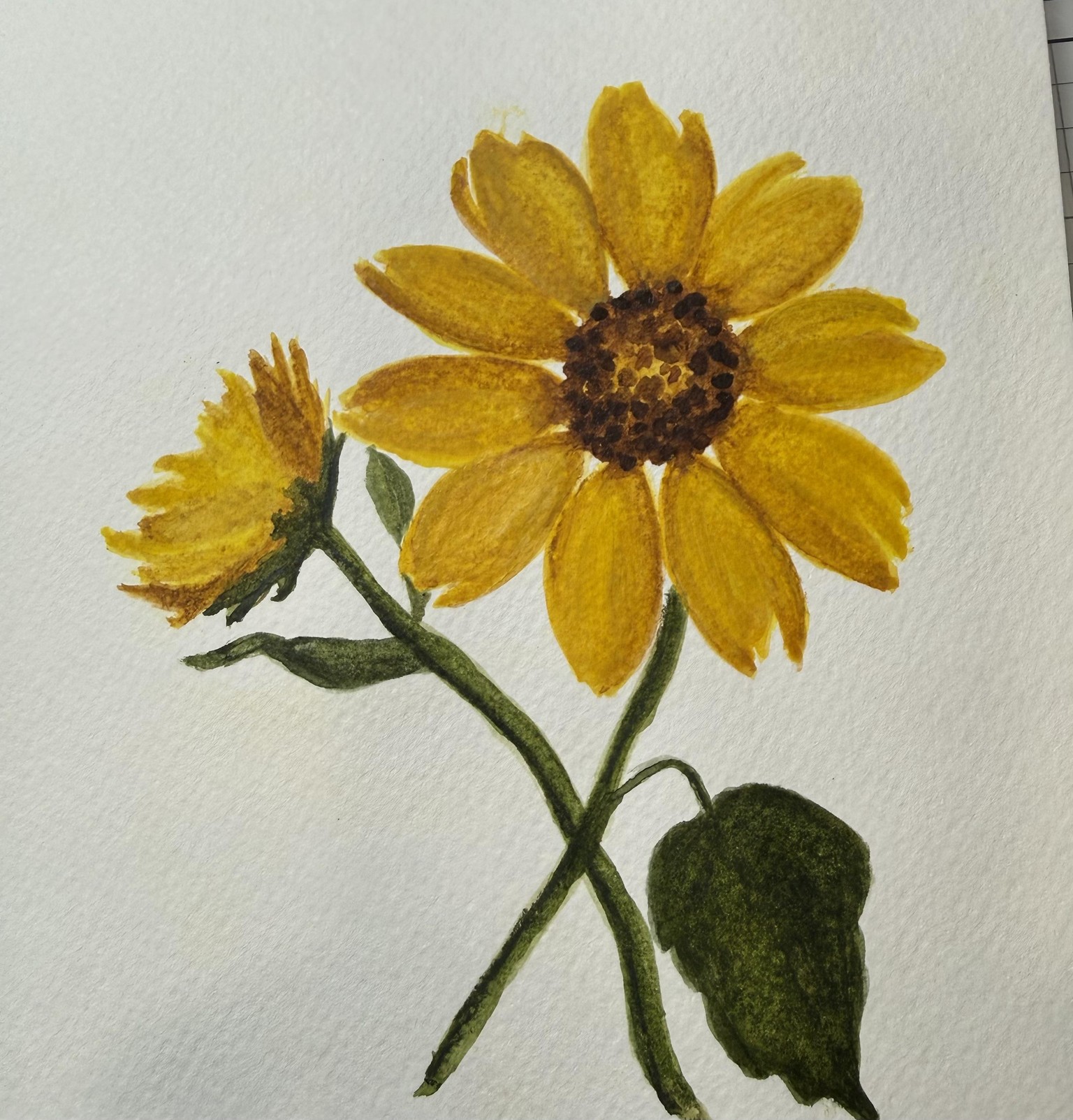 Sunflowers - image 1 - student project
