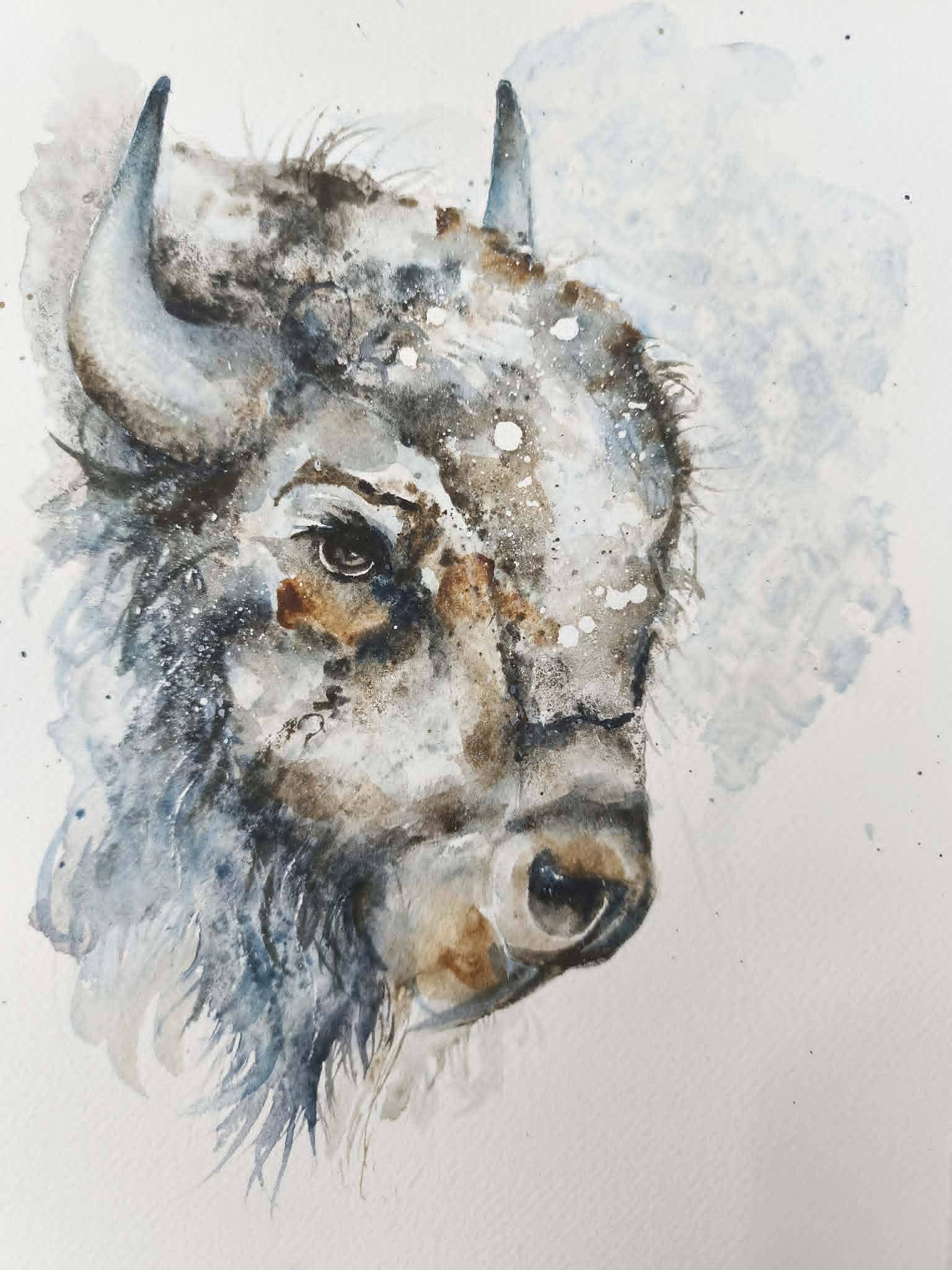Bizon z istrijských pigmentů - image 1 - student project