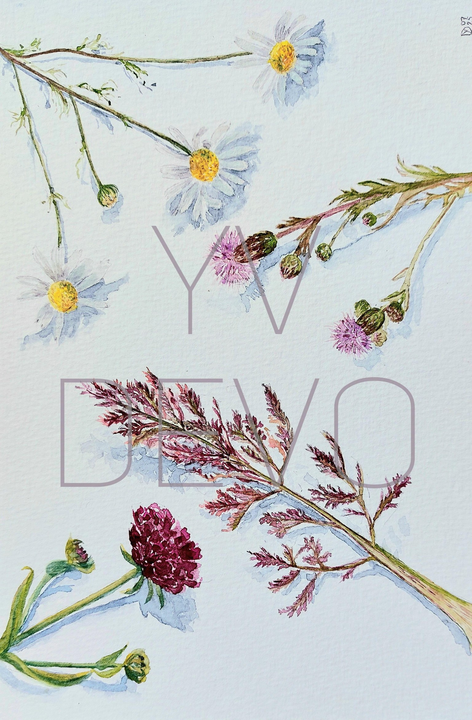 Nature near by home, watercolor practice with Julia Bausenhardt - image 4 - student project