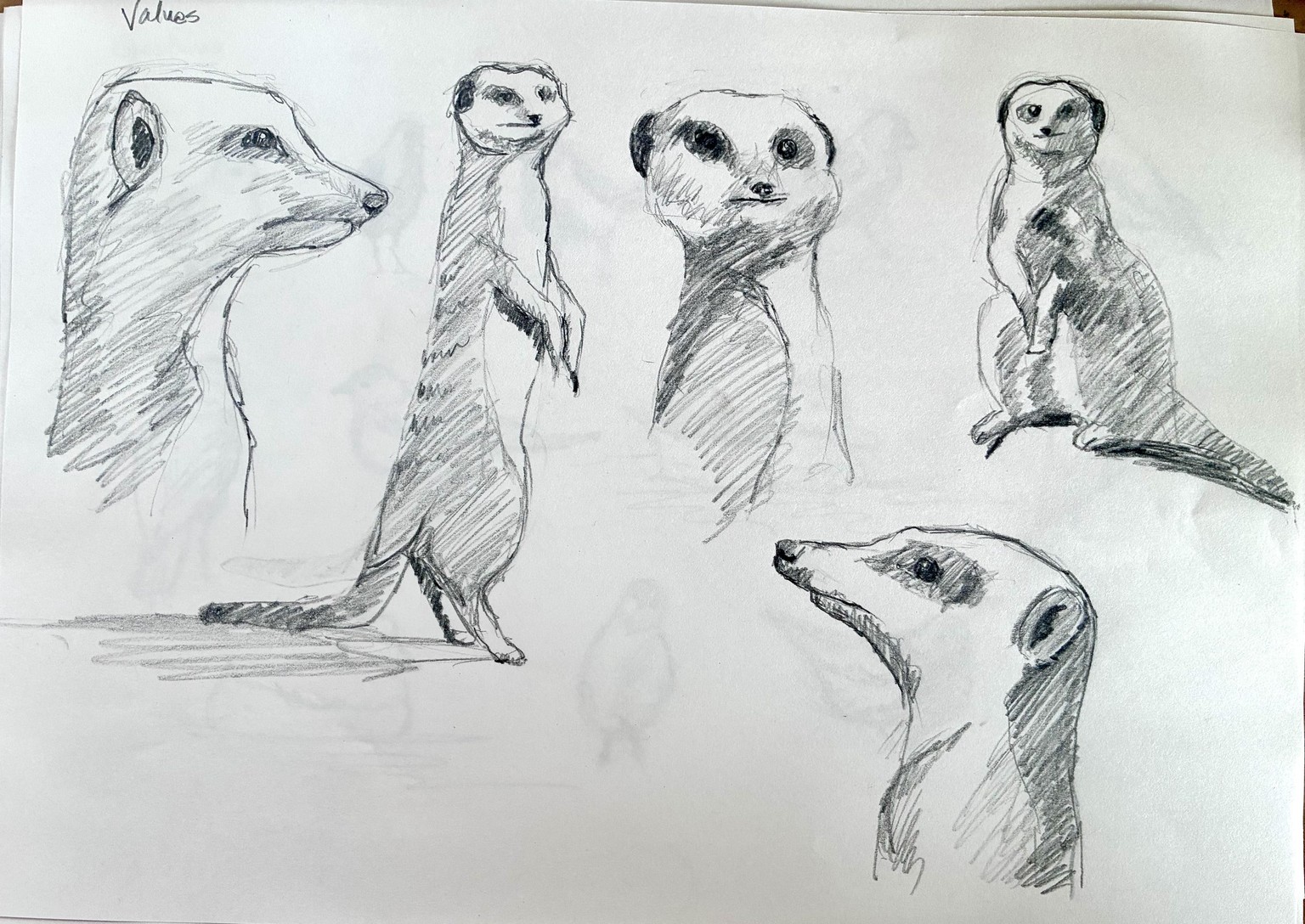 Pencil Sketching - image 5 - student project
