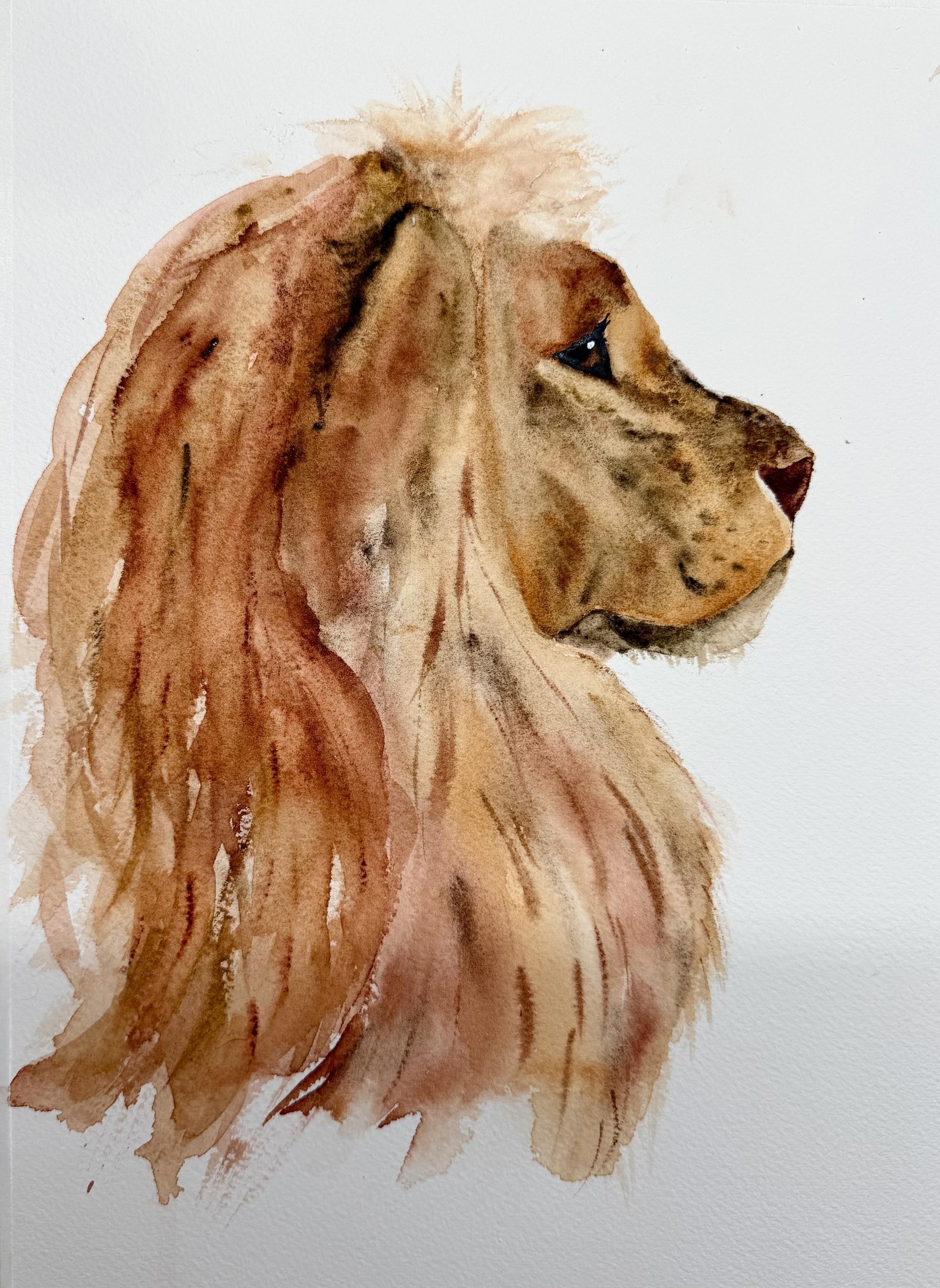 Lion - image 1 - student project