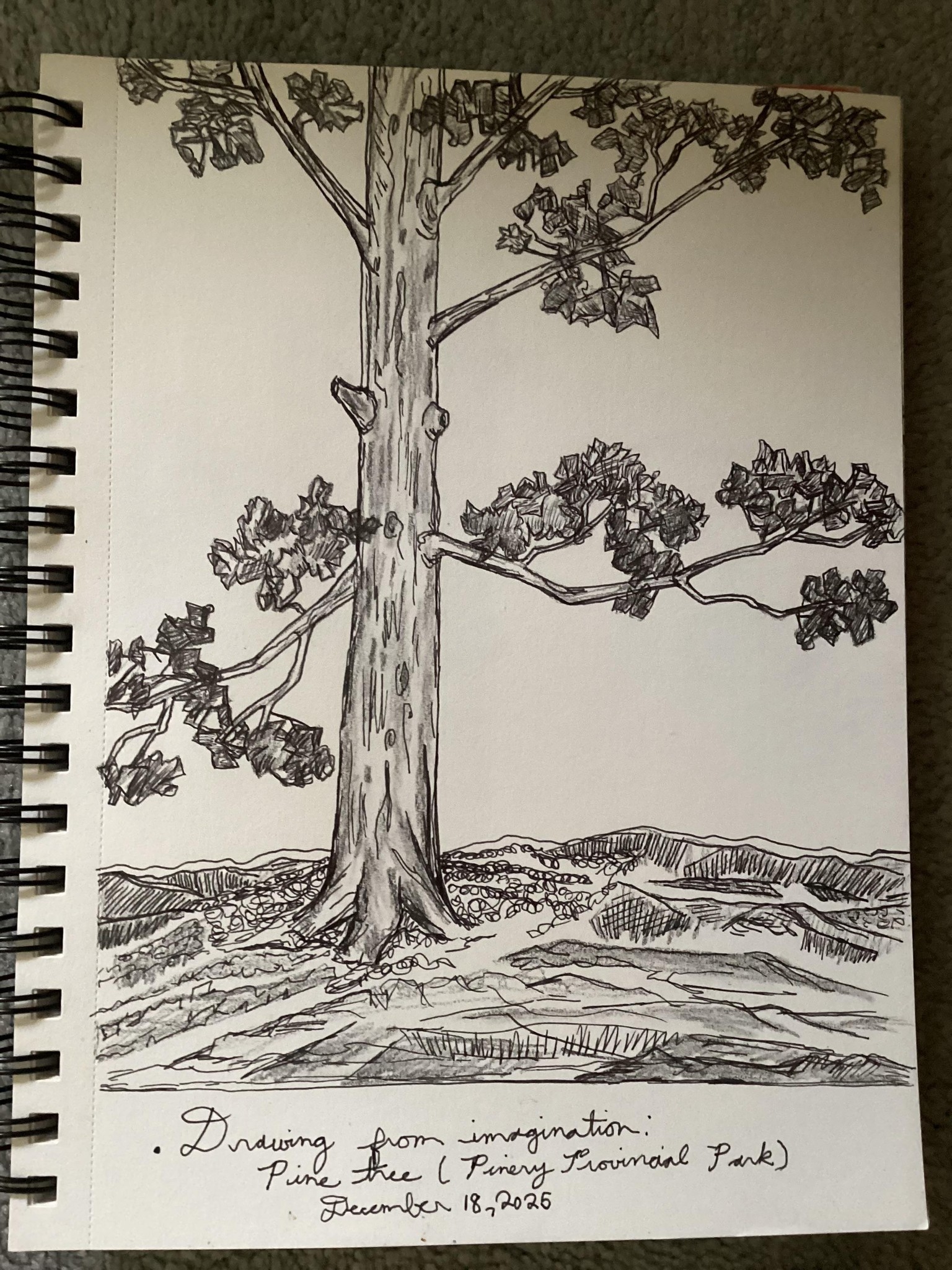 Sketches - image 2 - student project
