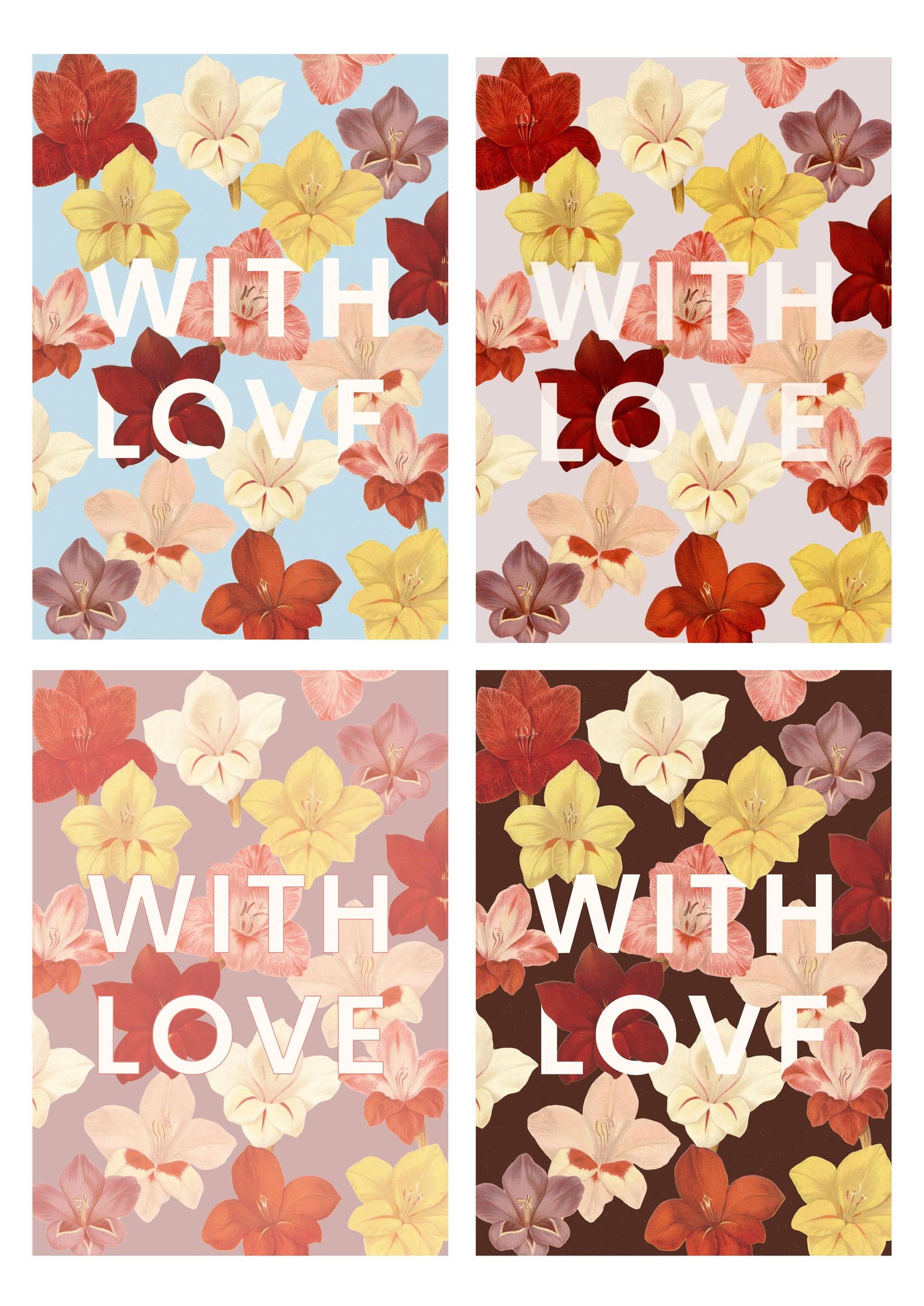 Gladiolus With Love Card - image 3 - student project