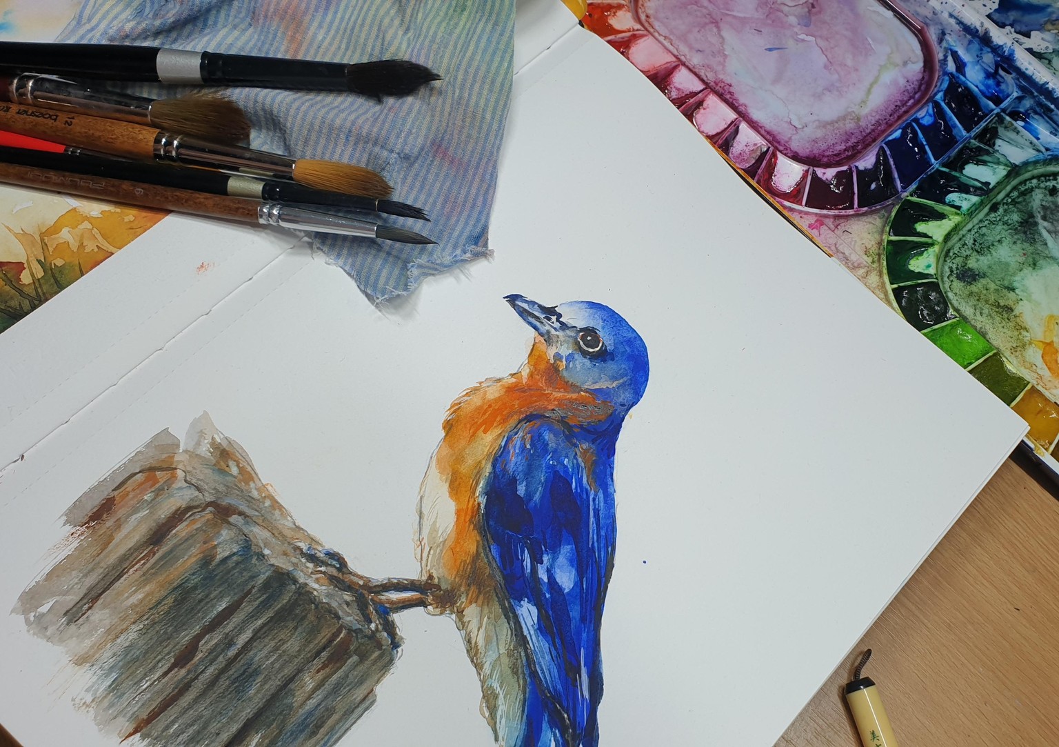 Is it a bird? - image 1 - student project