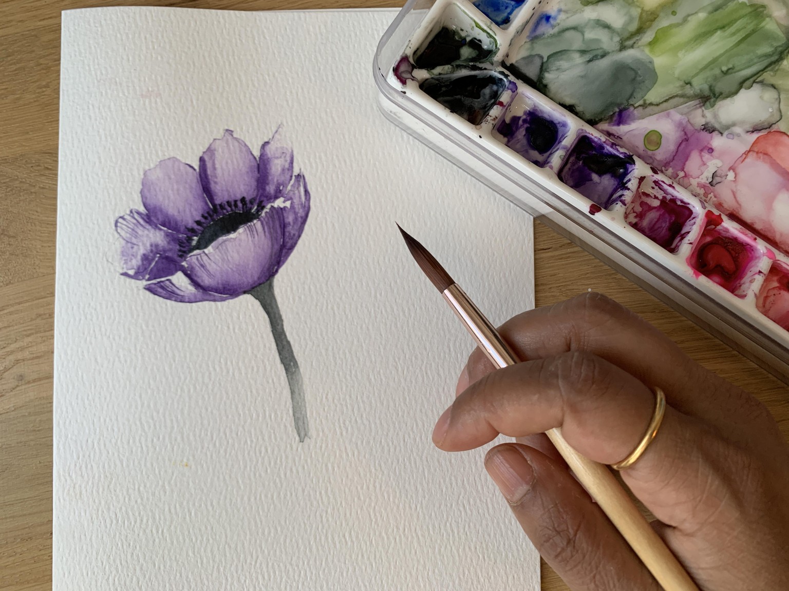 My Anemone! - image 1 - student project
