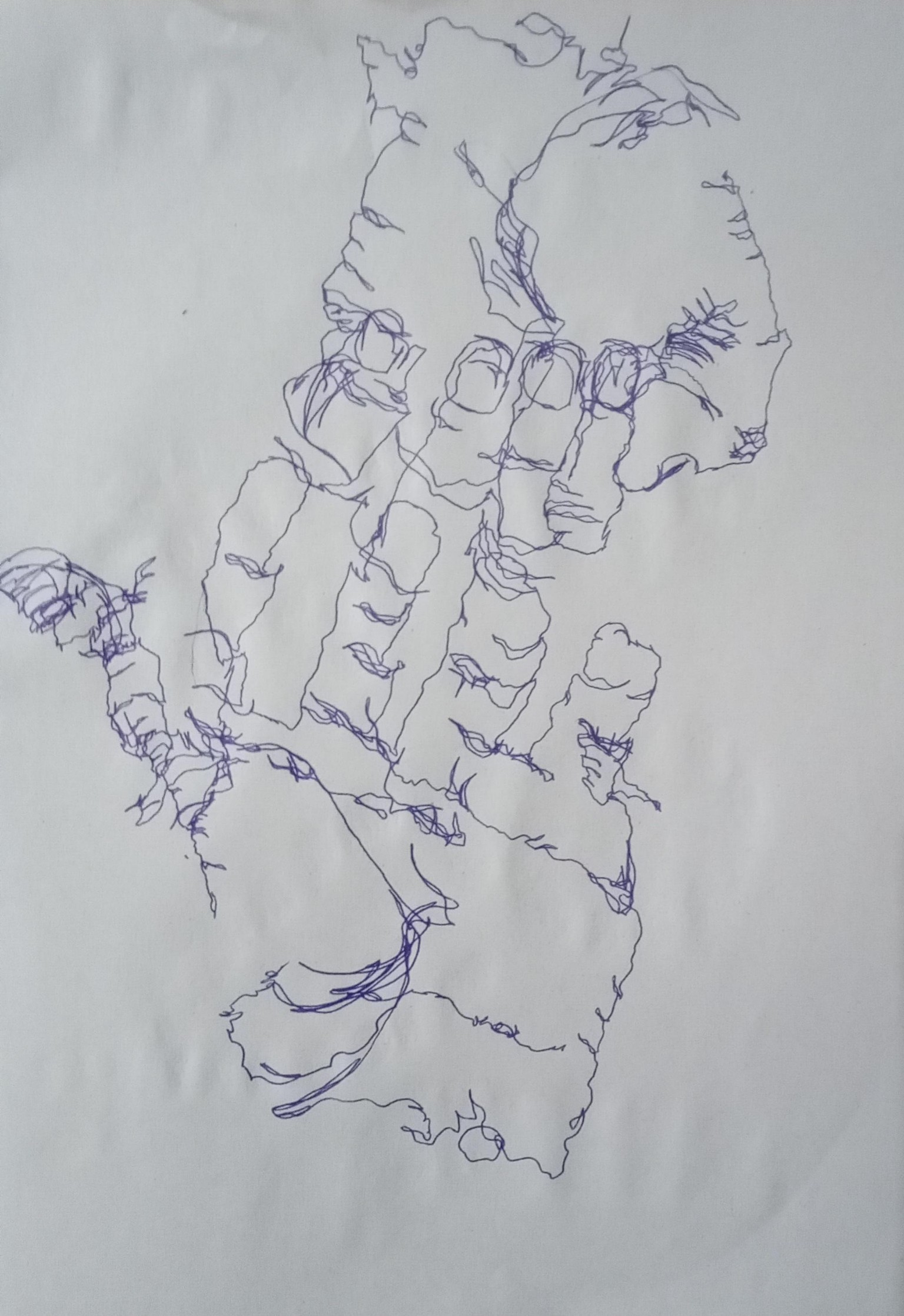 Exercises 2 - image 2 - student project
