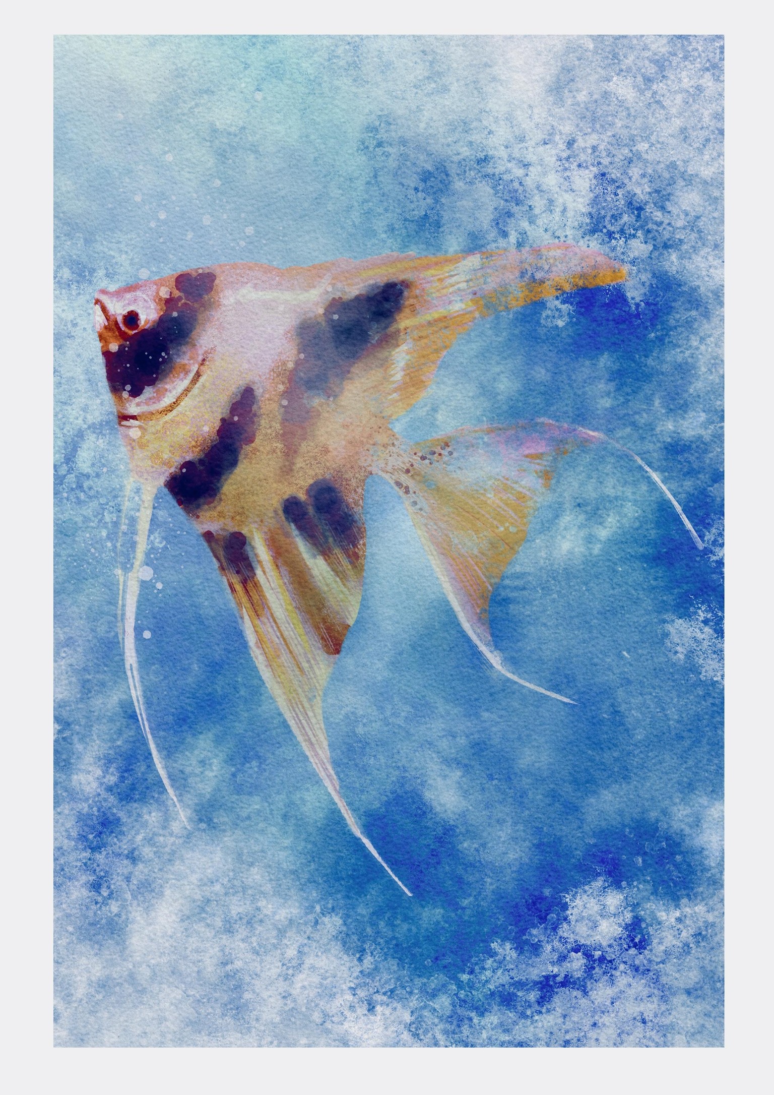 Watercolor Angelfish - image 3 - student project