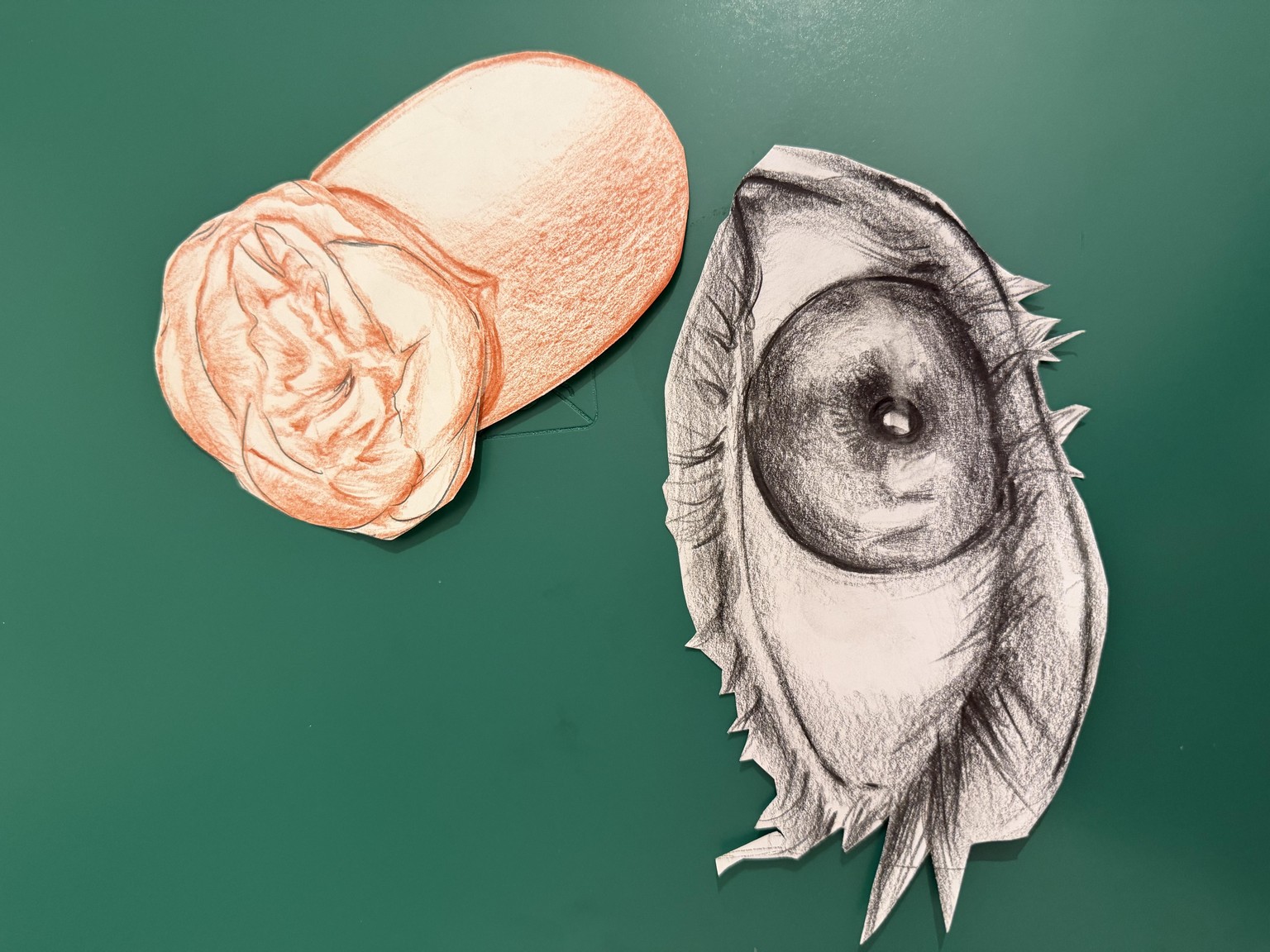 Picături de ochi - image 4 - student project