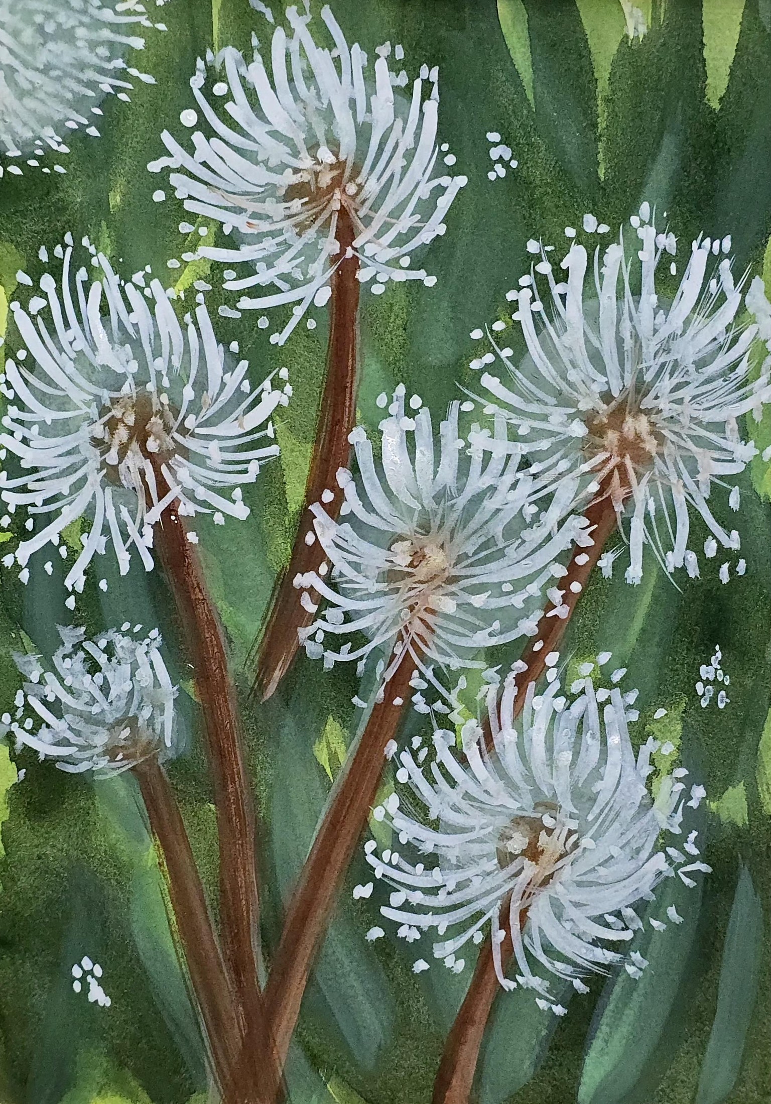 Dandelions - image 1 - student project