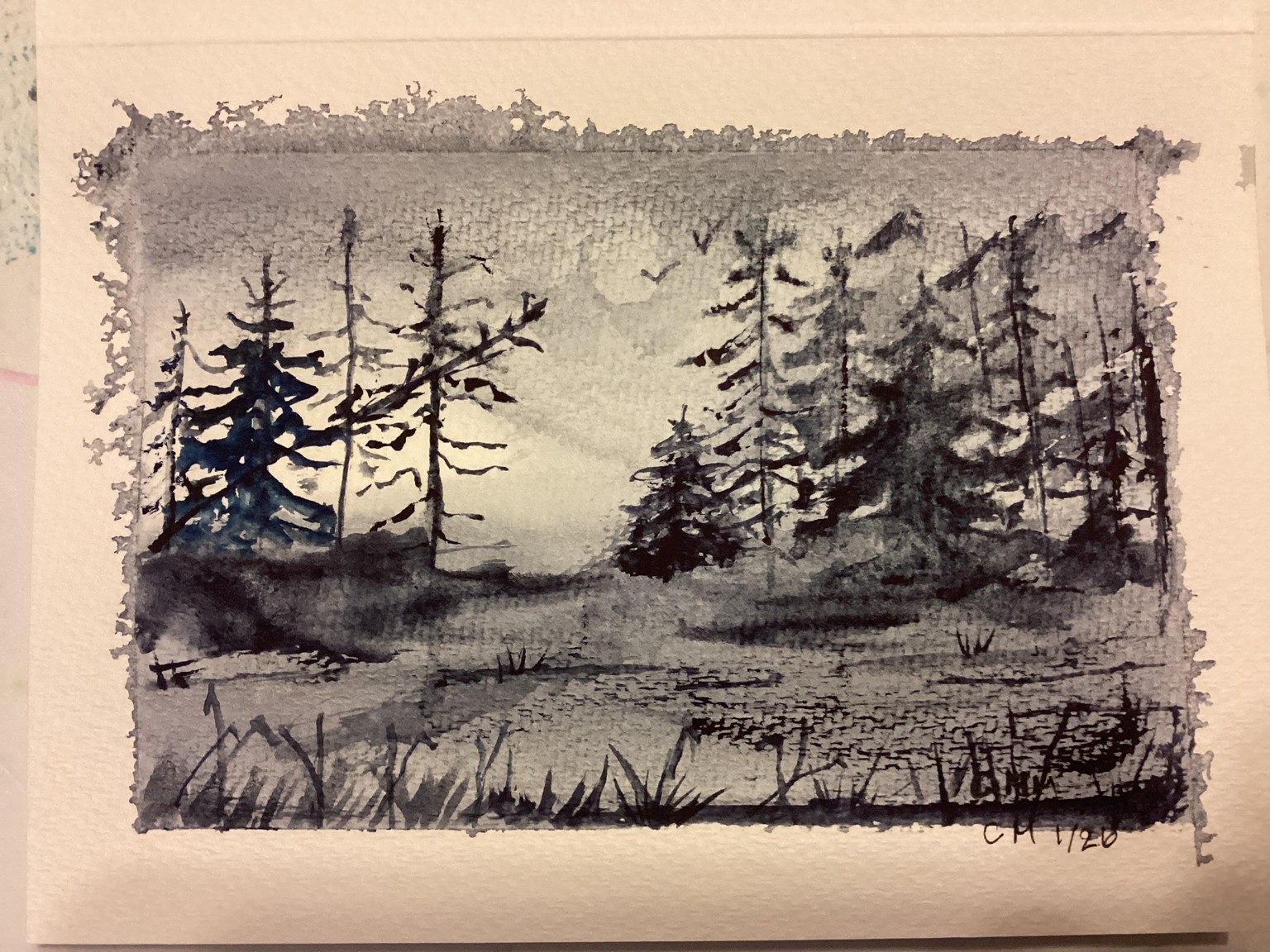 Monochrome landscapes - image 2 - student project
