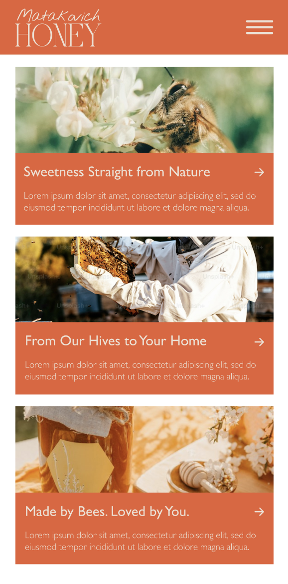 Matakovich Honey Wireframe - image 5 - student project