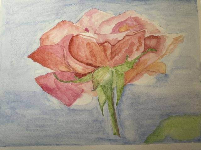 Rose - Watercolor Rose for beginners - image 1 - student project