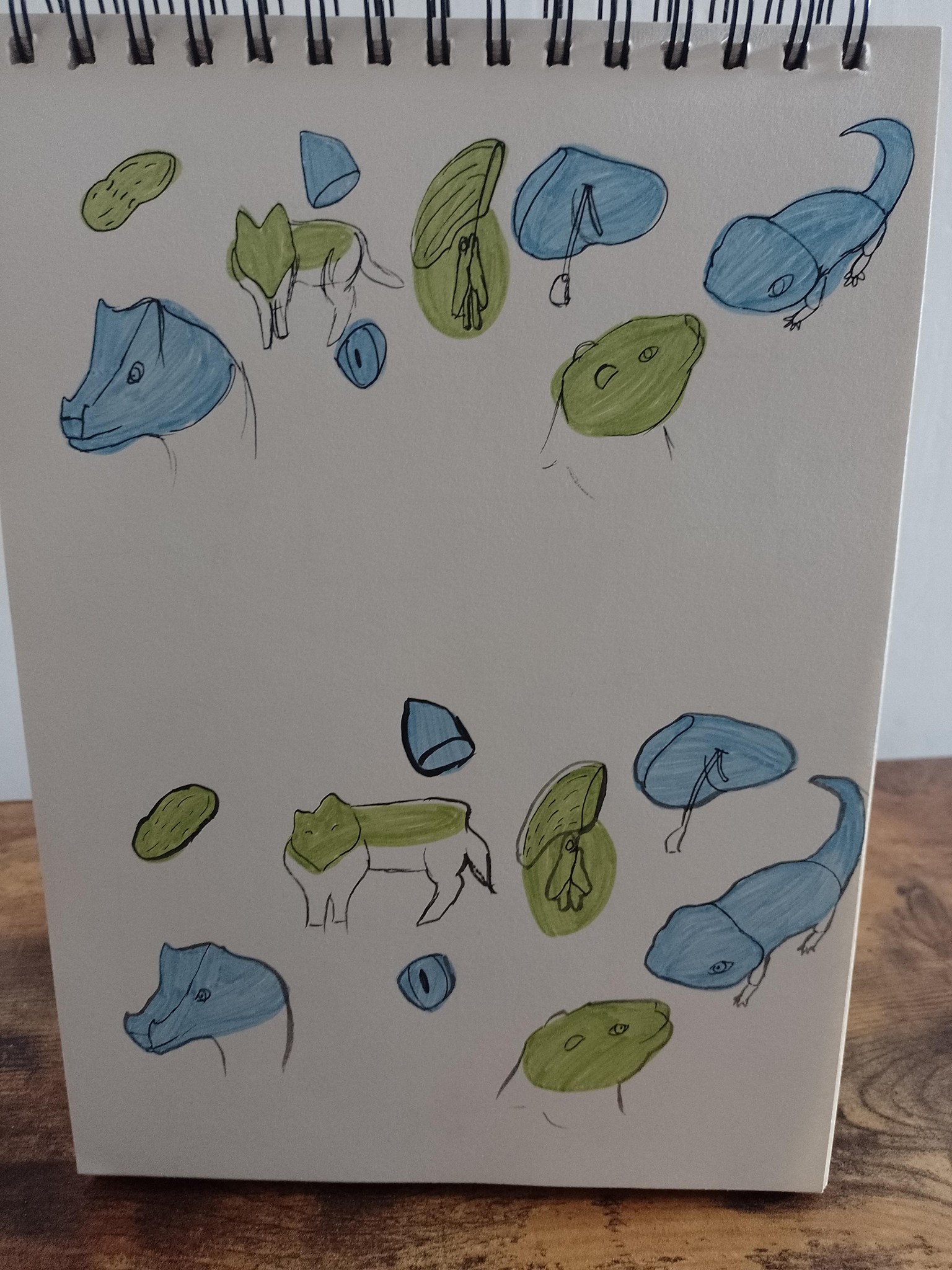 Lots of drawings - image 1 - student project