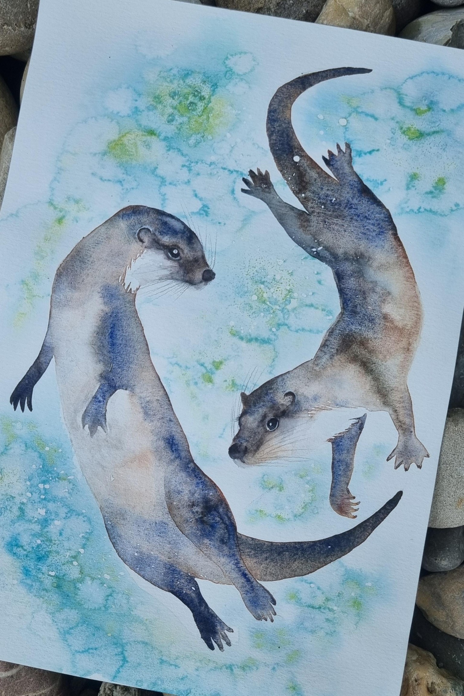 Otter - image 3 - student project