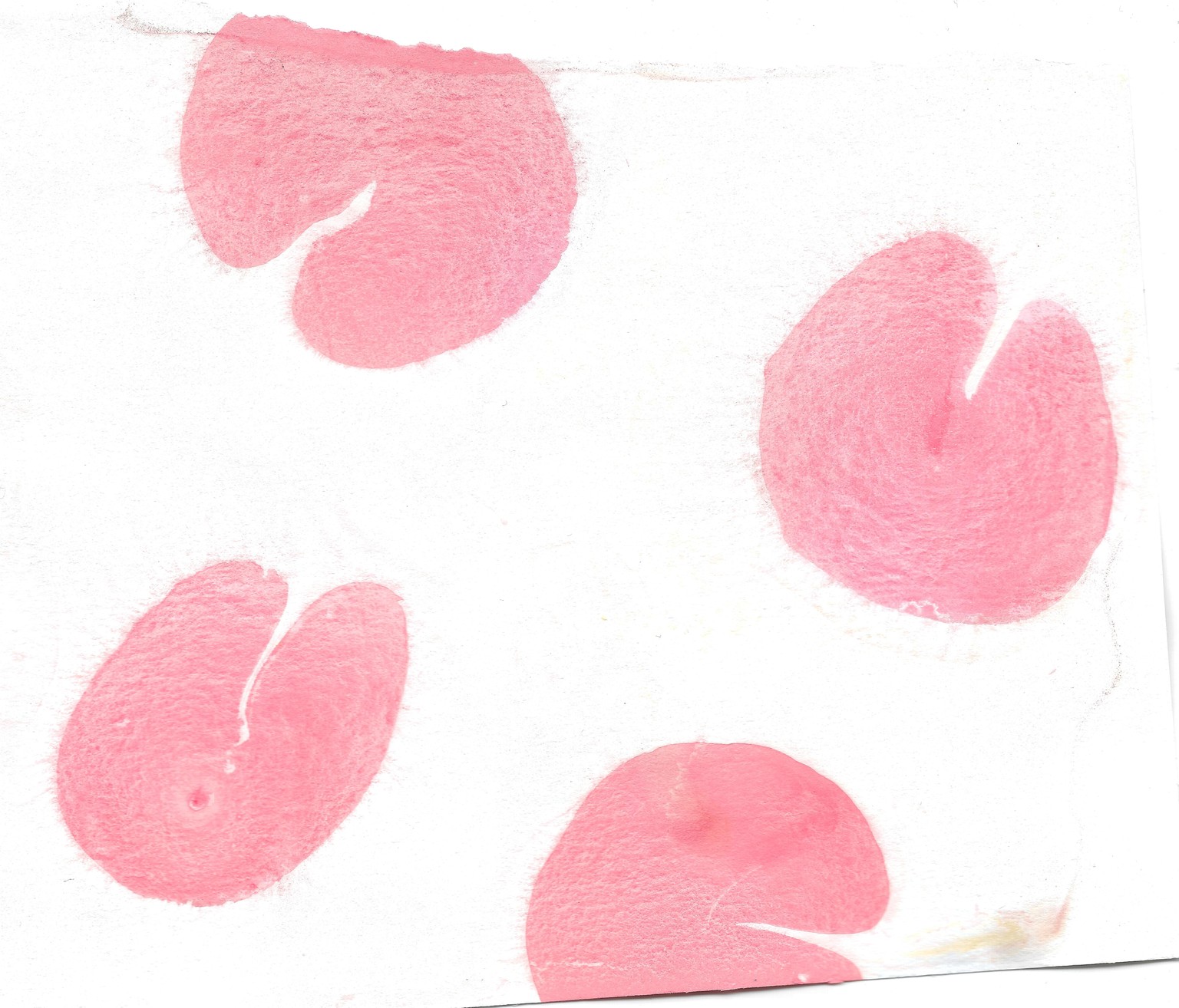 Paper Water Marbling - image 1 - student project