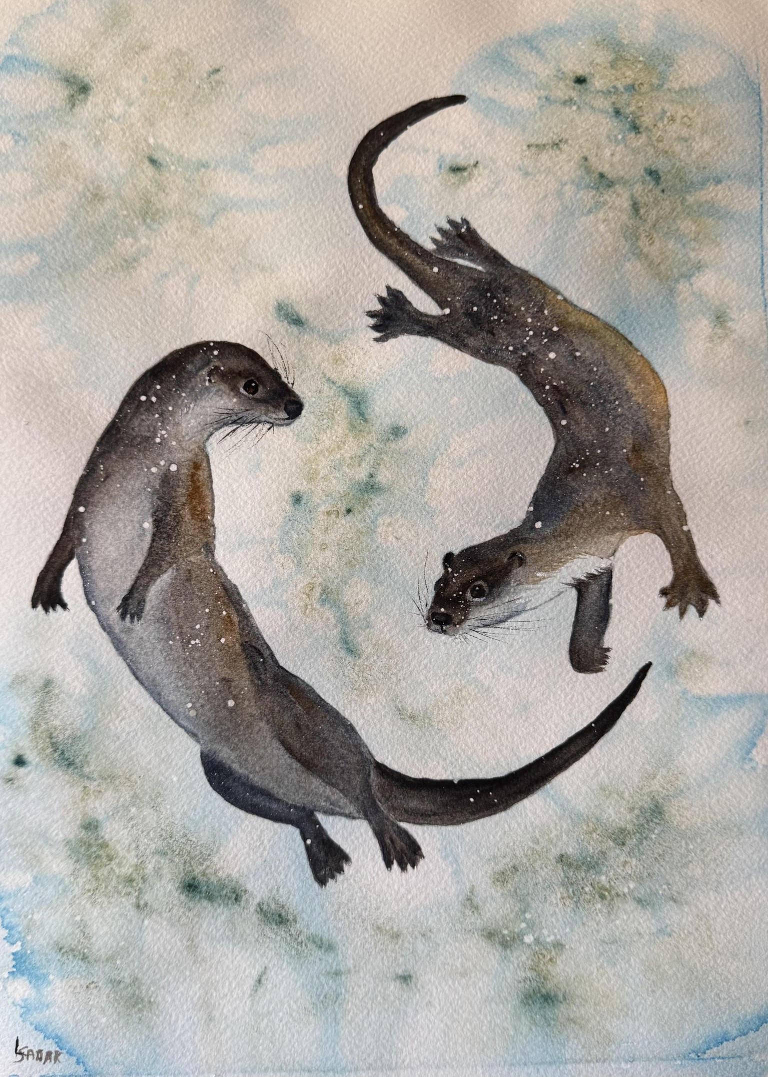 River Otters - image 1 - student project