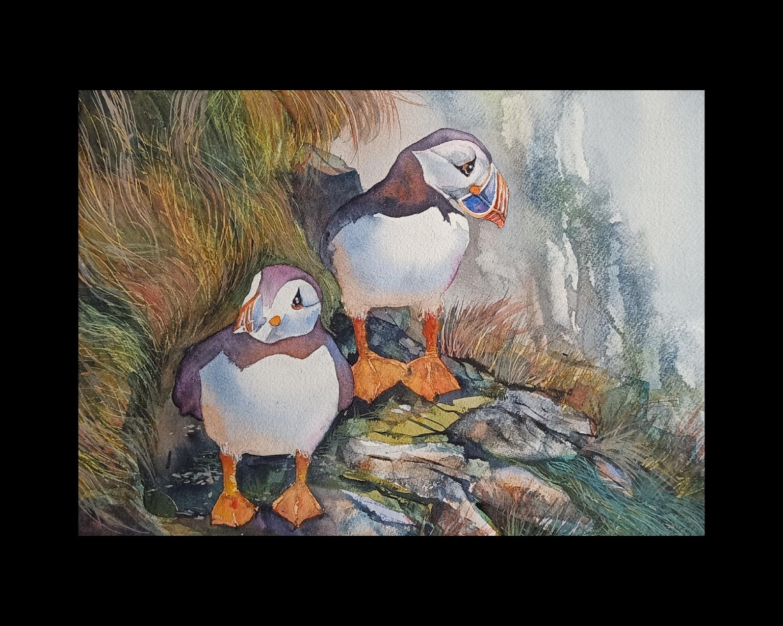 Aquarell - Puffins - image 1 - student project