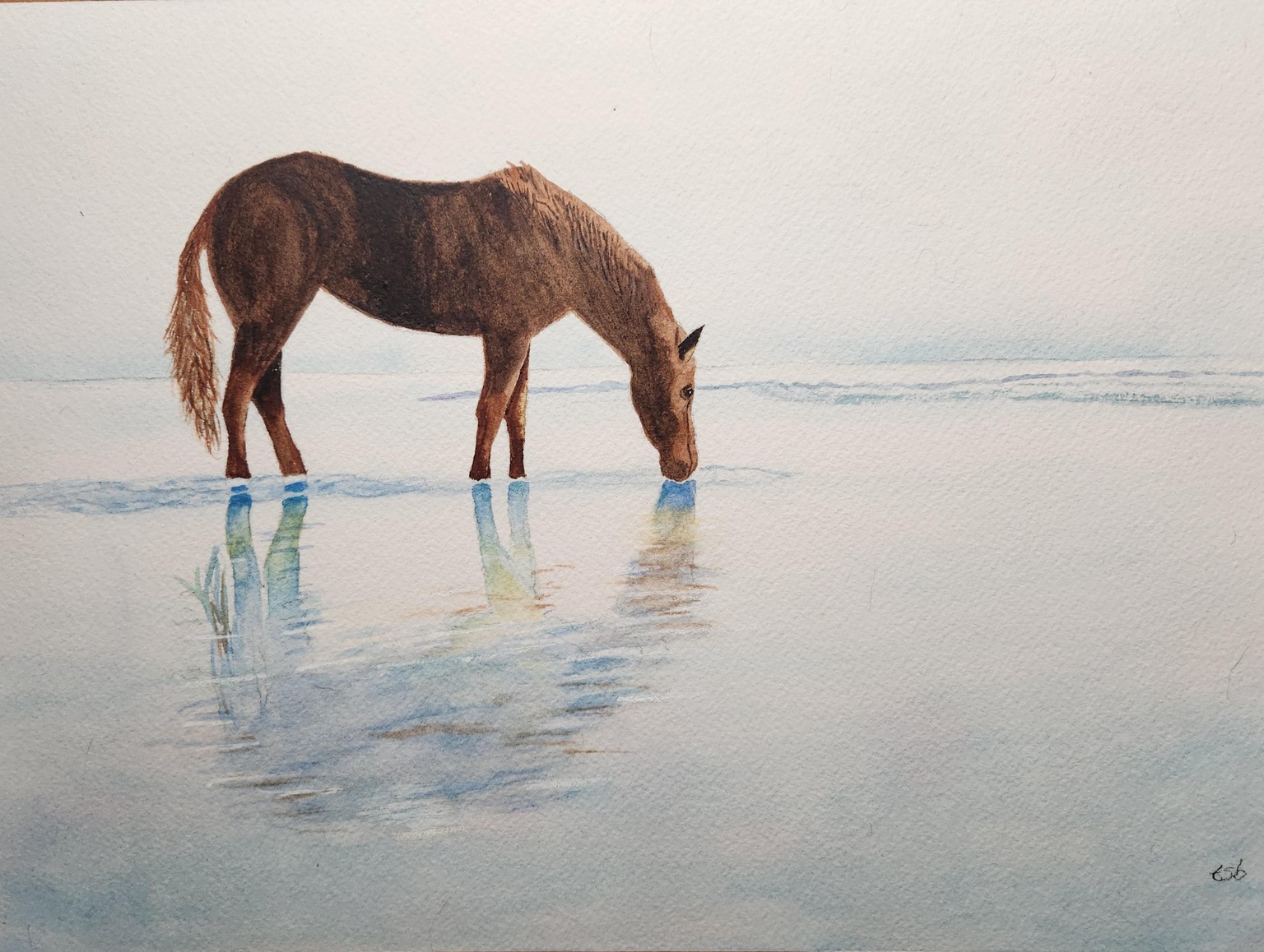 Zephyr, the beautiful horse - image 2 - student project