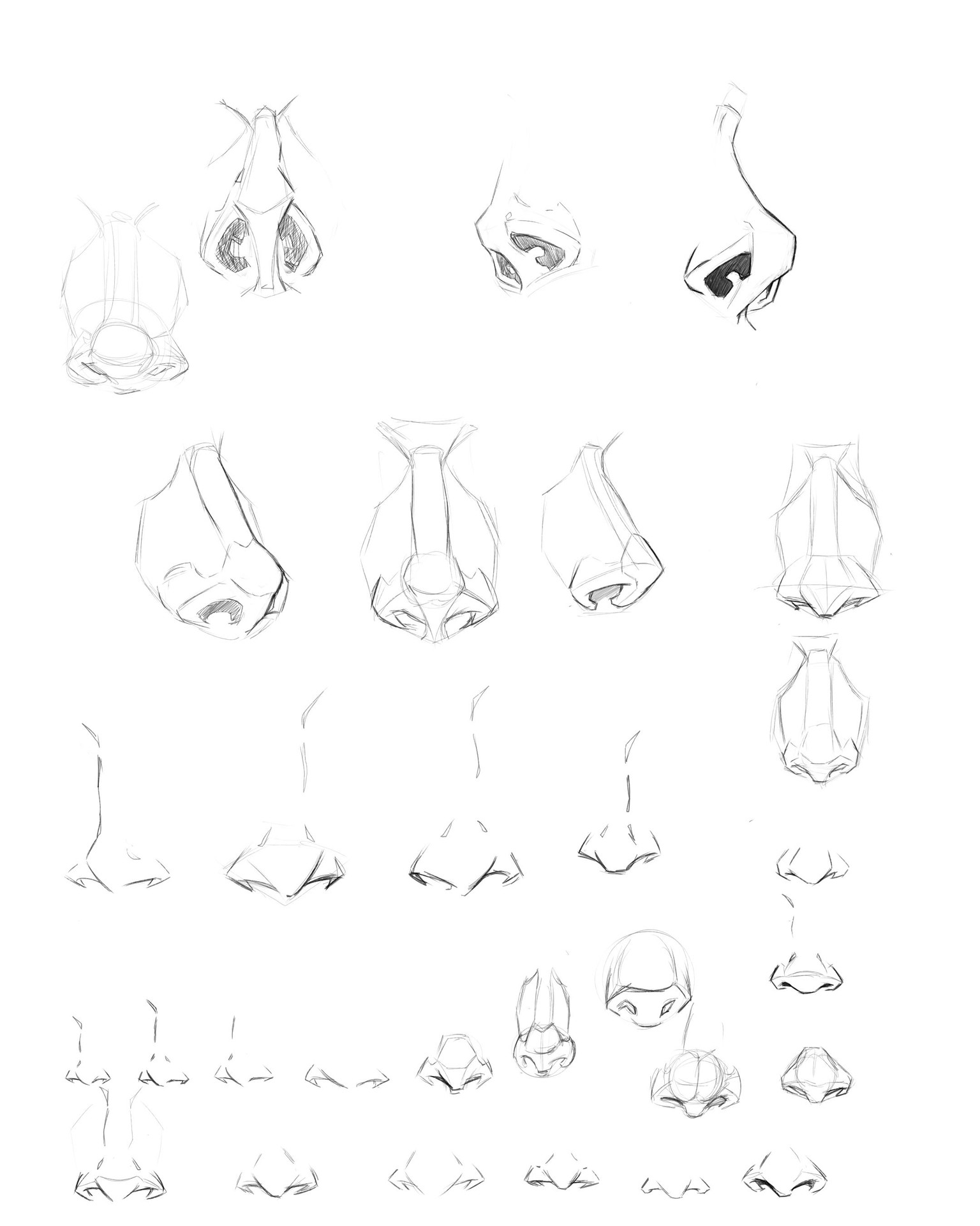 Noses - image 2 - student project