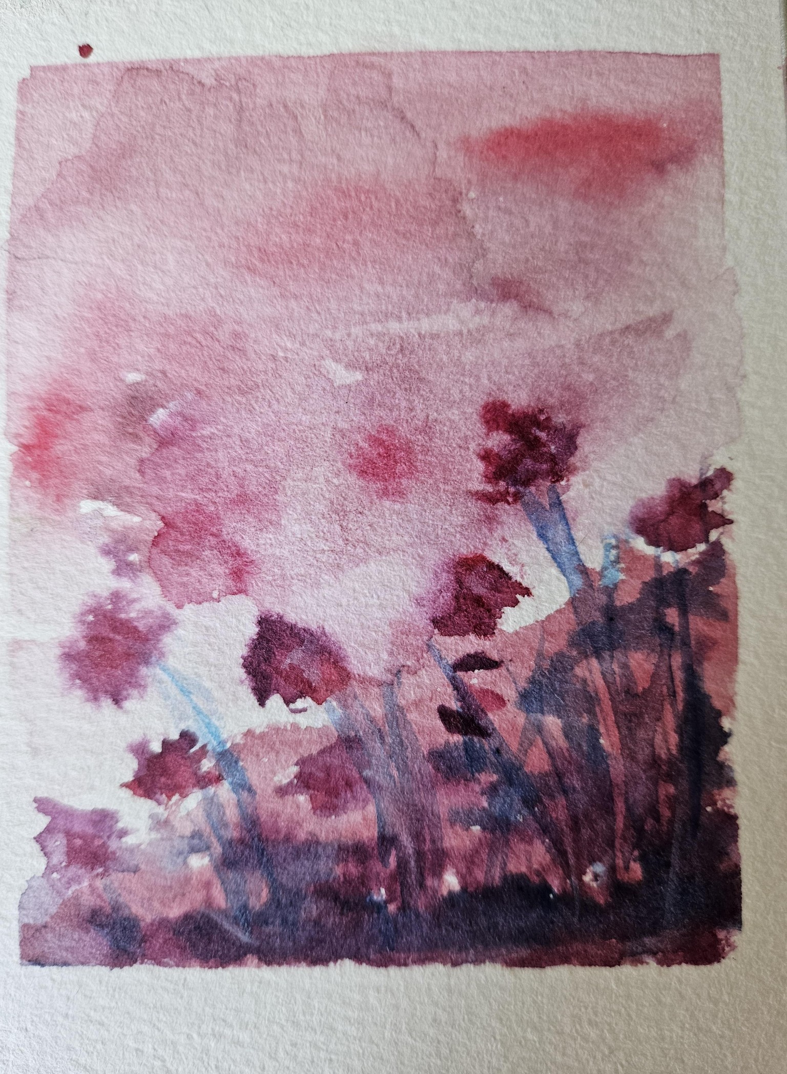Polaroid atmospheric flowers - image 1 - student project