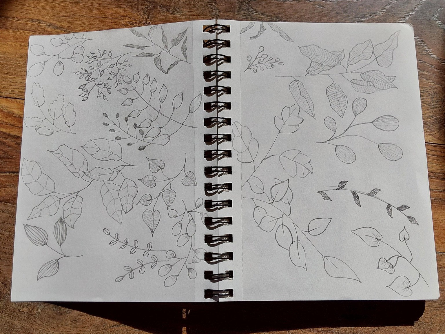 Lots of leaves - image 4 - student project