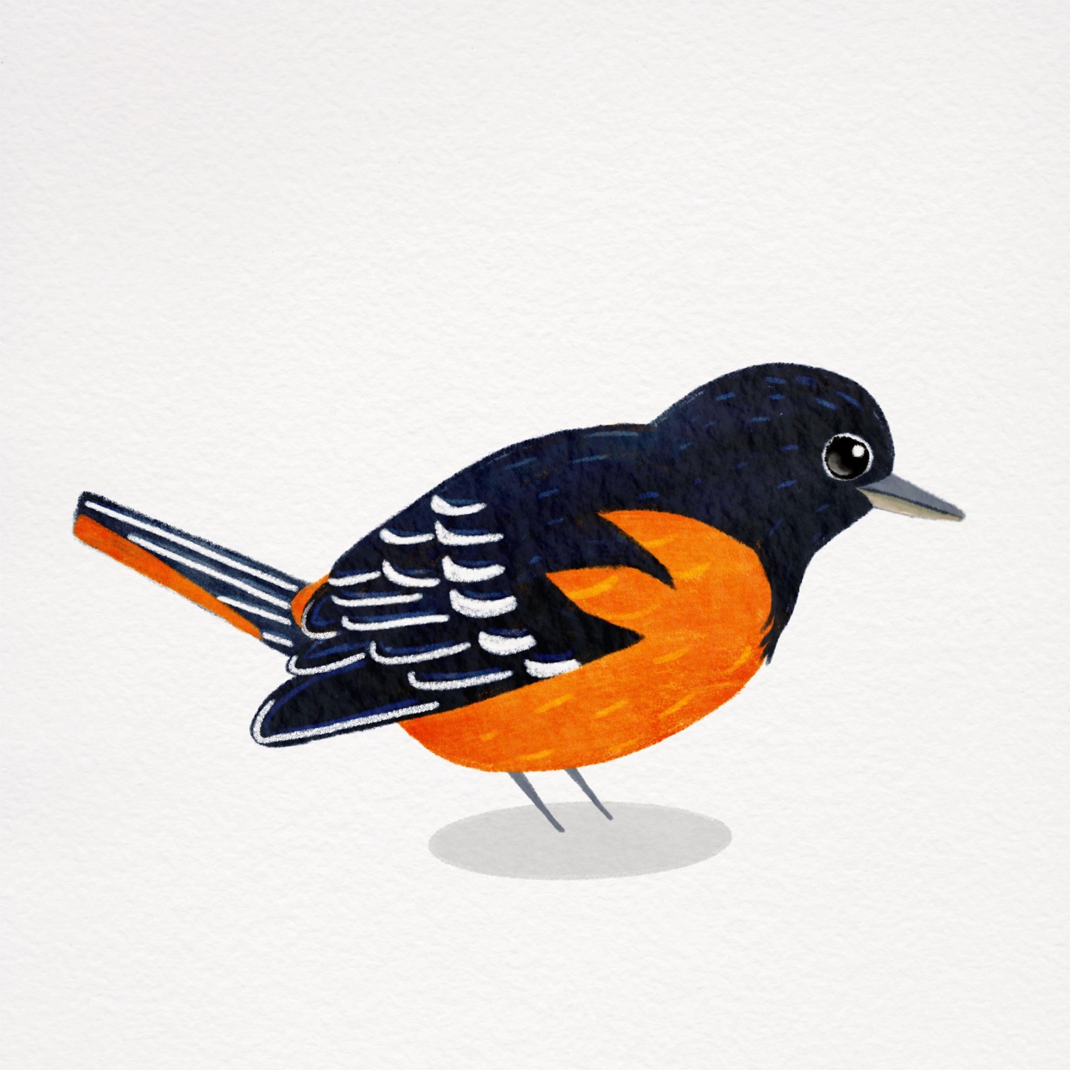 My birds - image 3 - student project