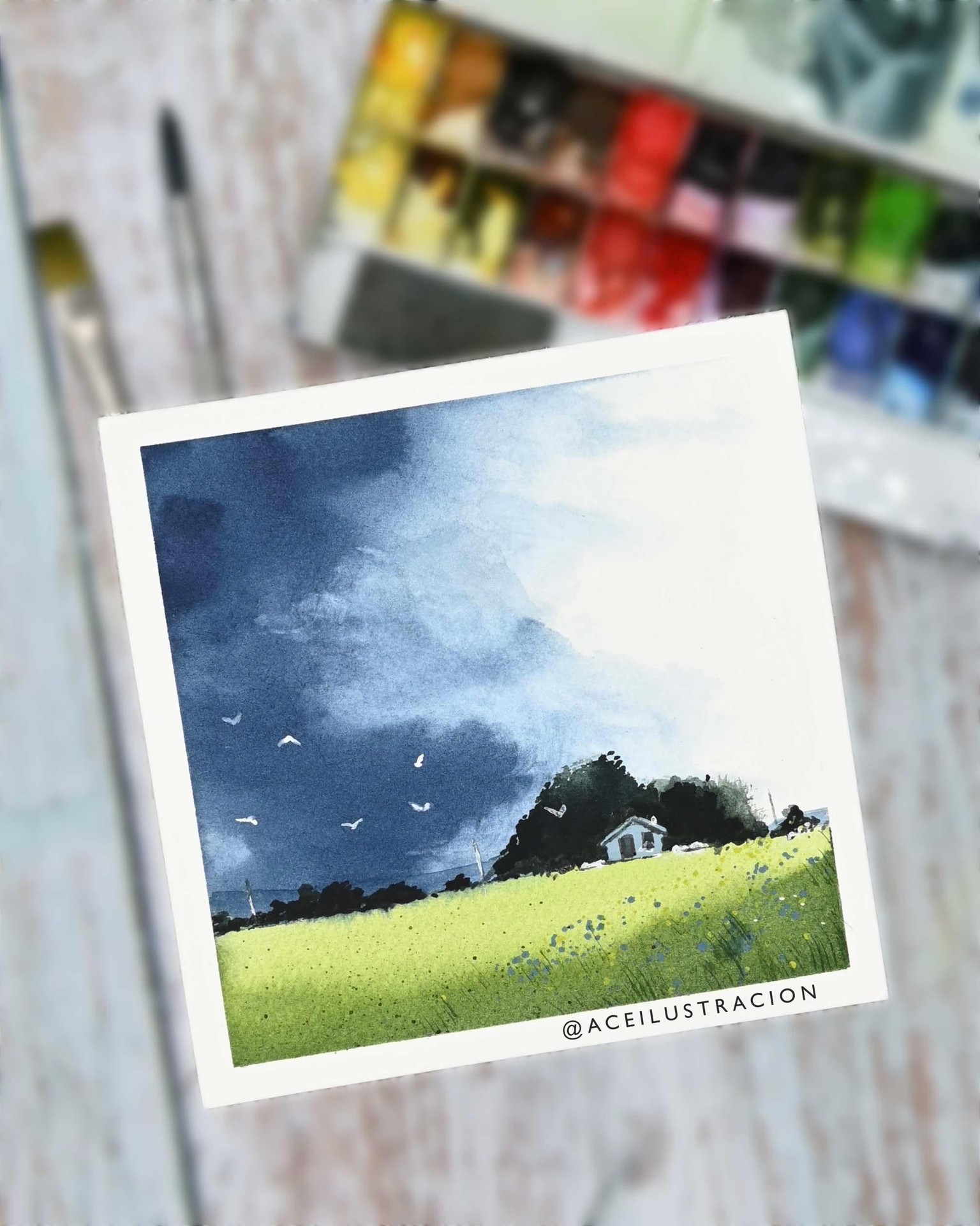 Landscapes - image 3 - student project