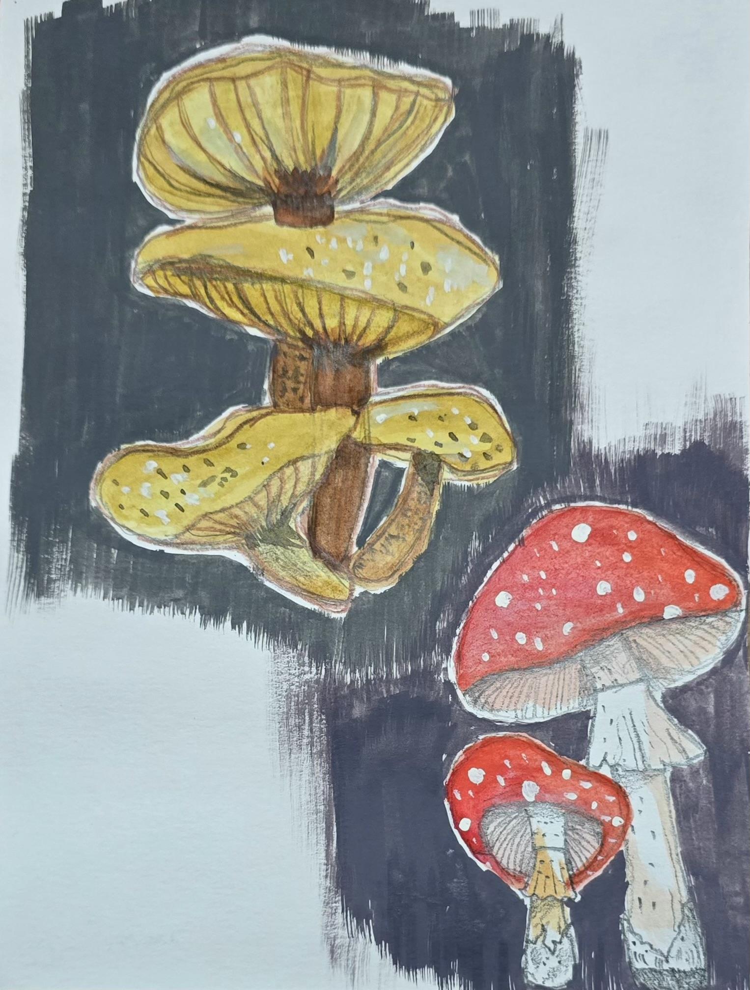 Whimsical mushrooms - image 1 - student project