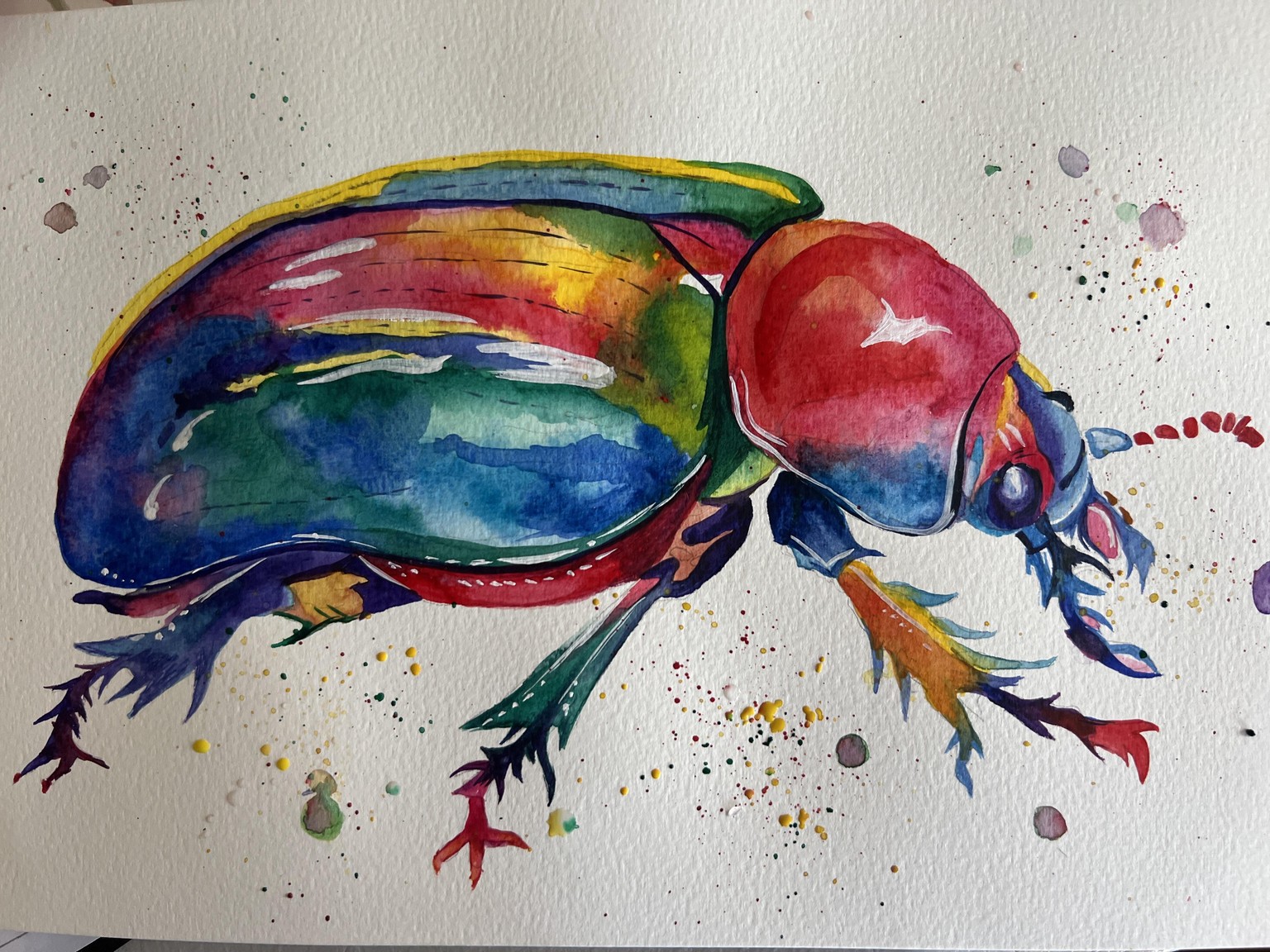 Colourful beetle - image 1 - student project