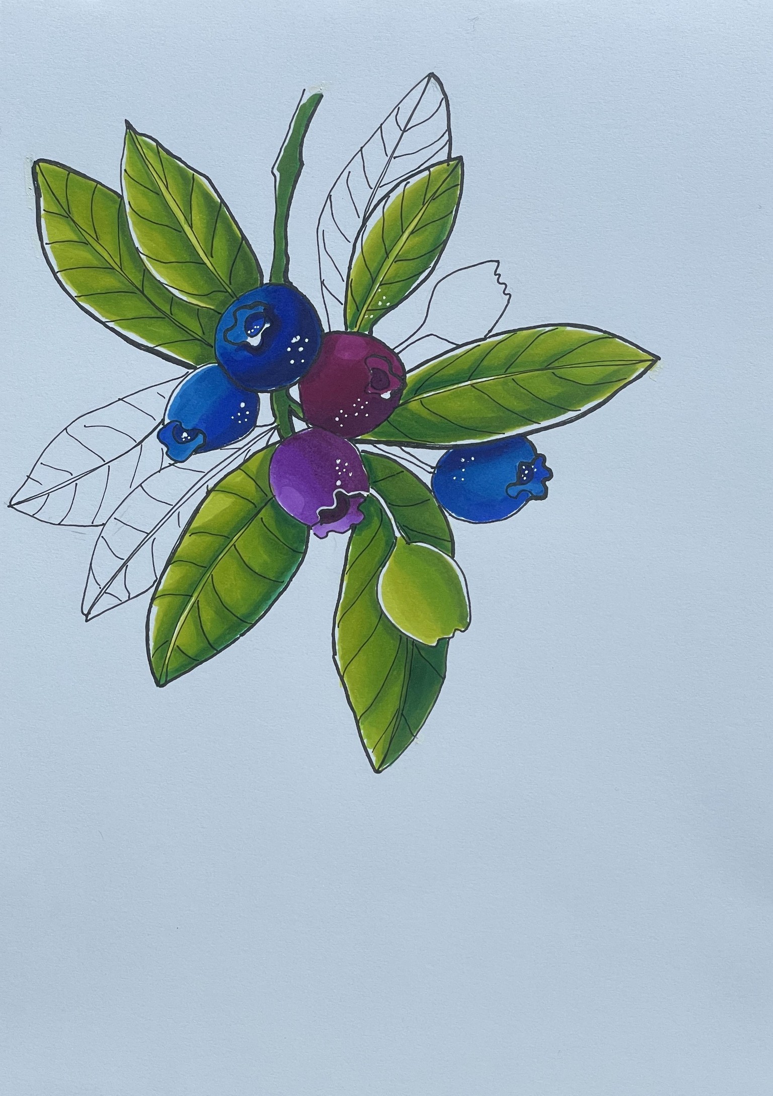 Markers - expressive fruits - image 6 - student project
