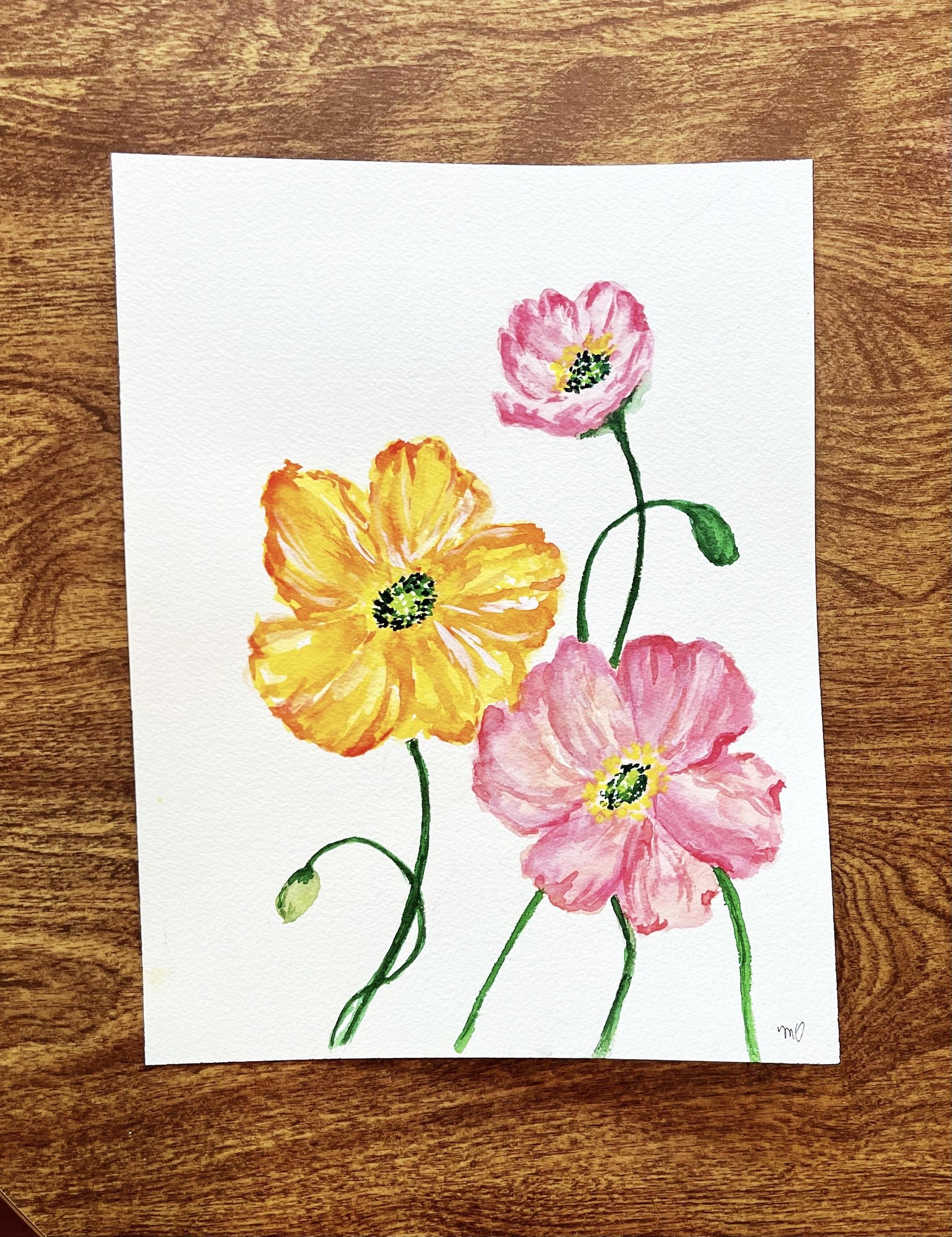 Icelandic Poppies - image 2 - student project