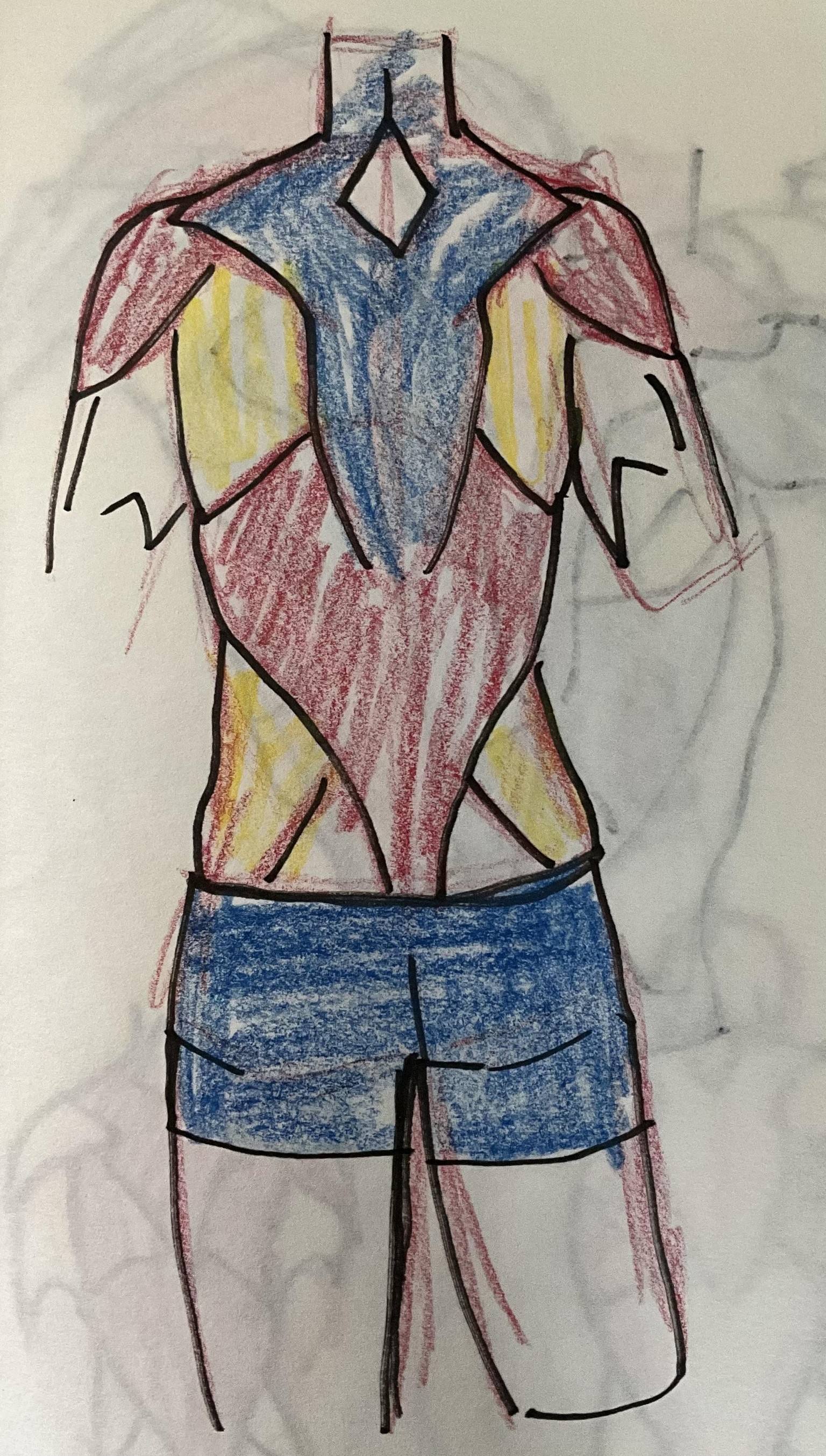 Walk though anatomy - image 4 - student project