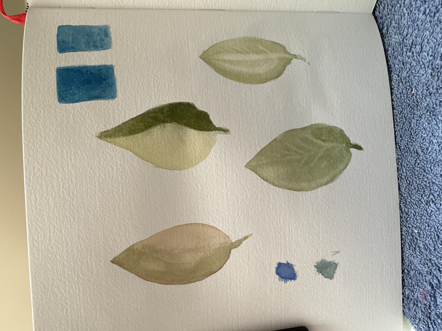 Practice with botanical techniques - image 1 - student project