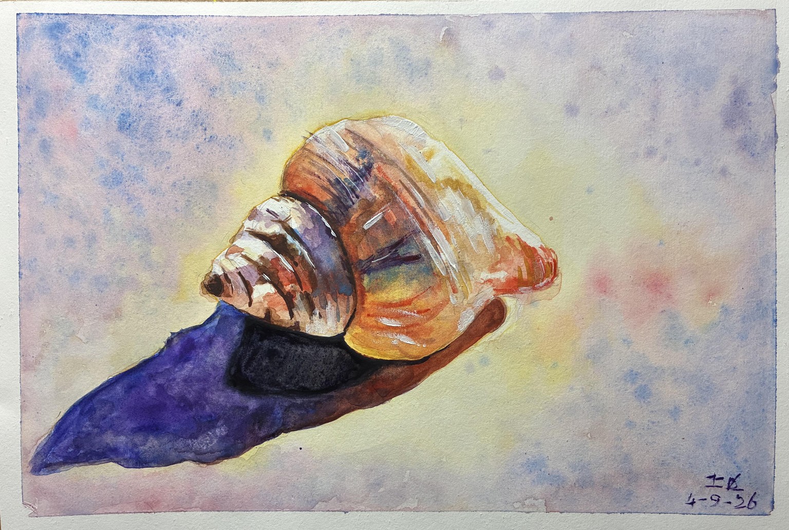 Seashell - image 1 - student project