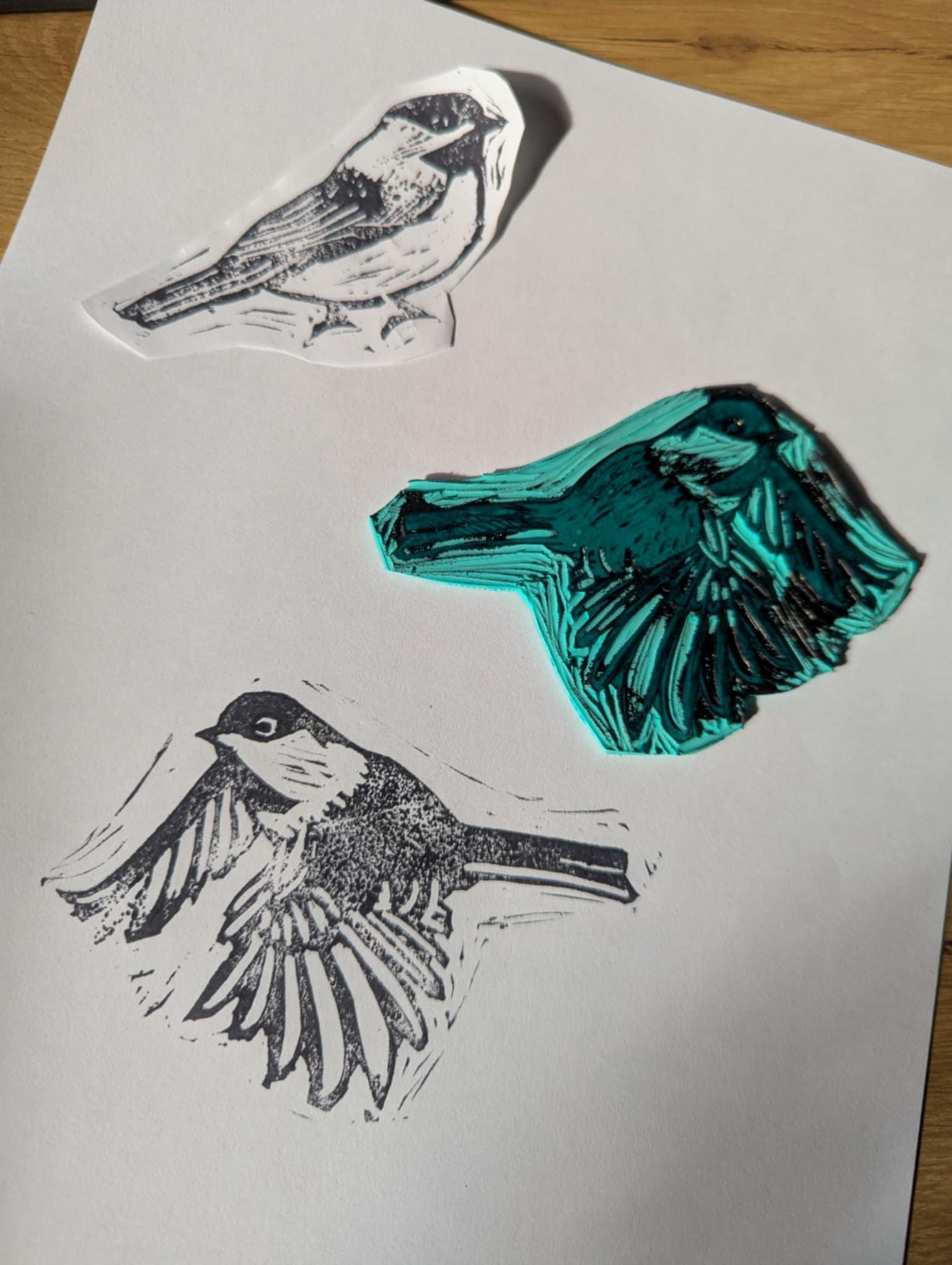 Hello, chickadees! - image 2 - student project