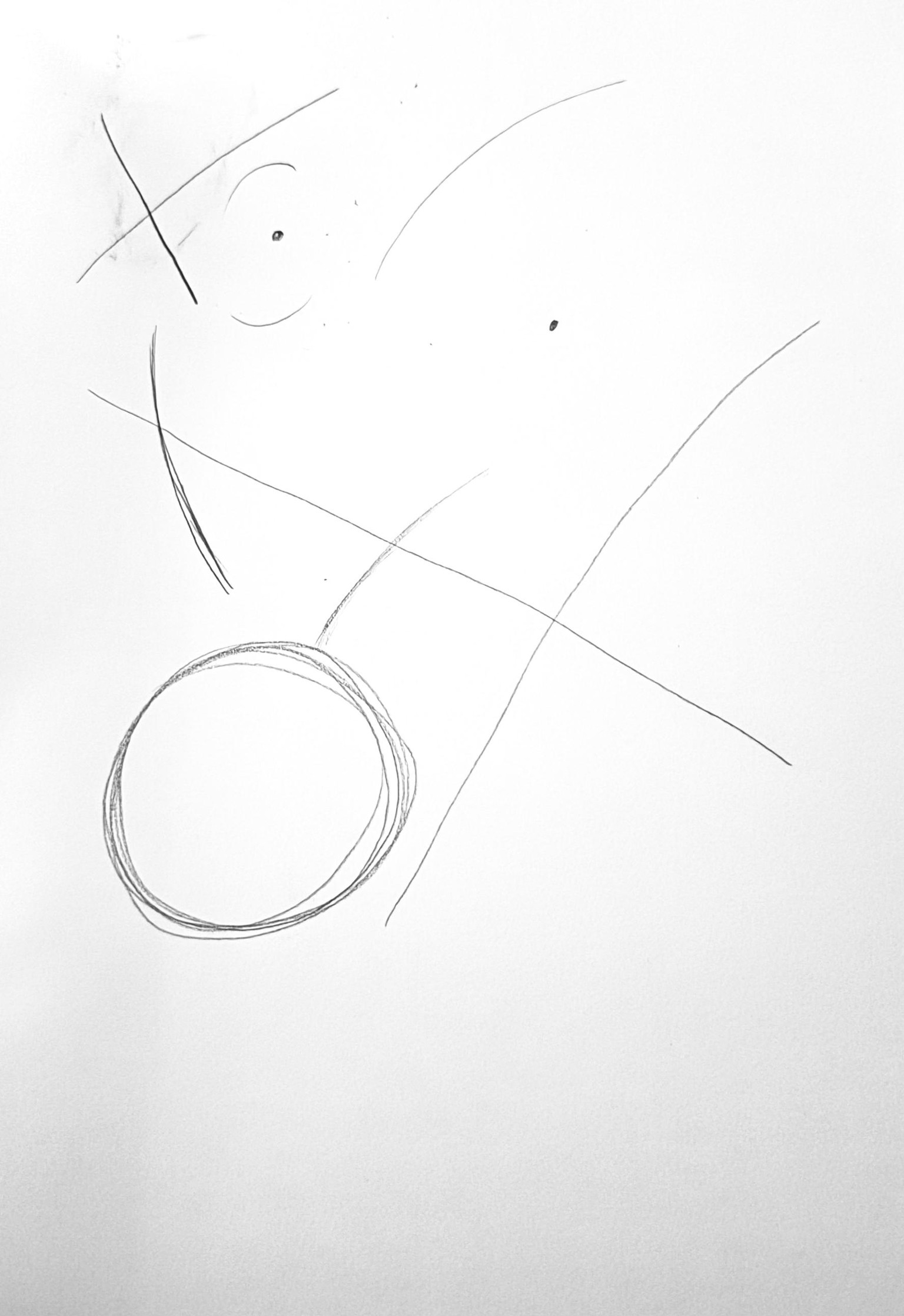 Drawing Basics: Let Go Of Expectations Before Drawing - image 1 - student project