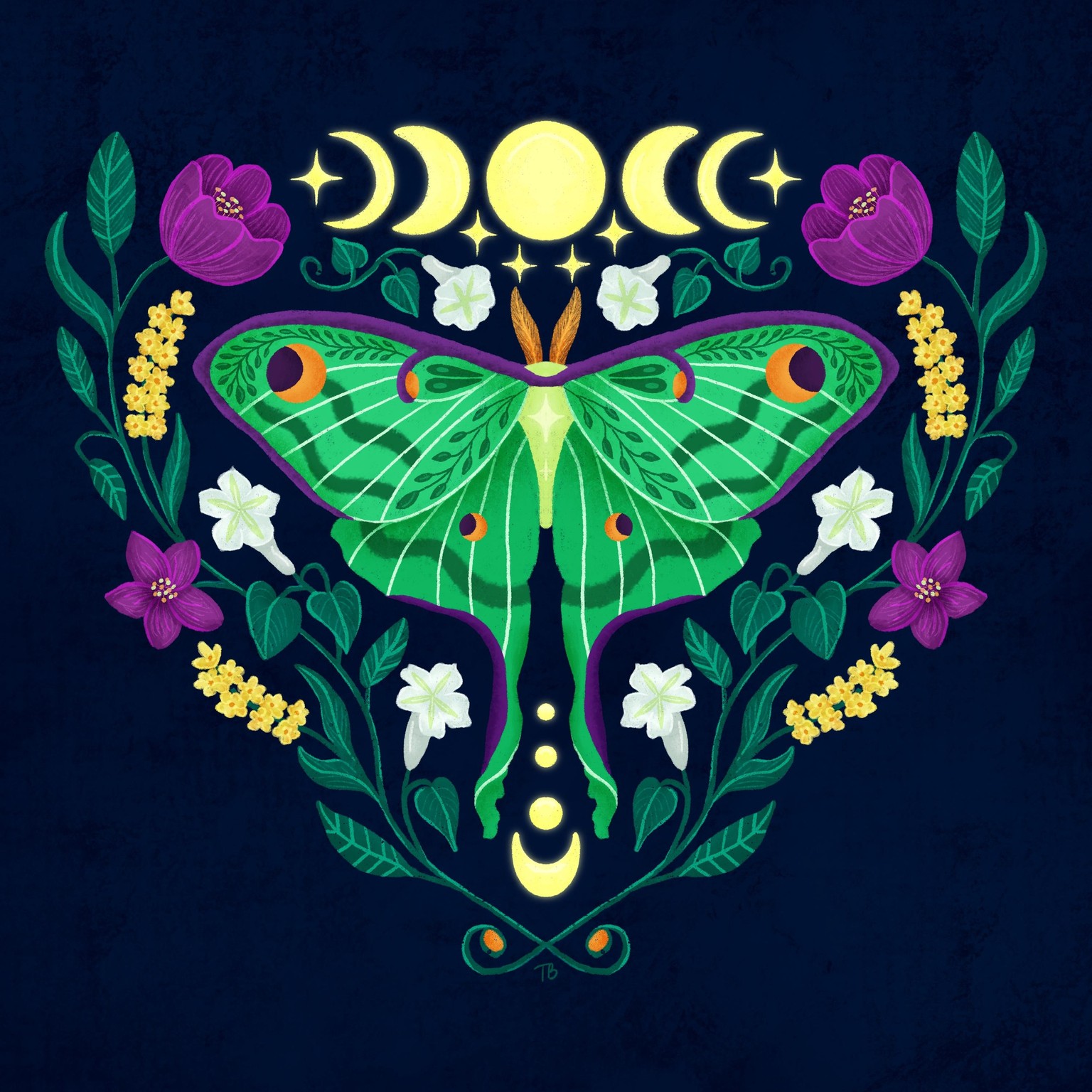Magical Luna Moth - image 1 - student project