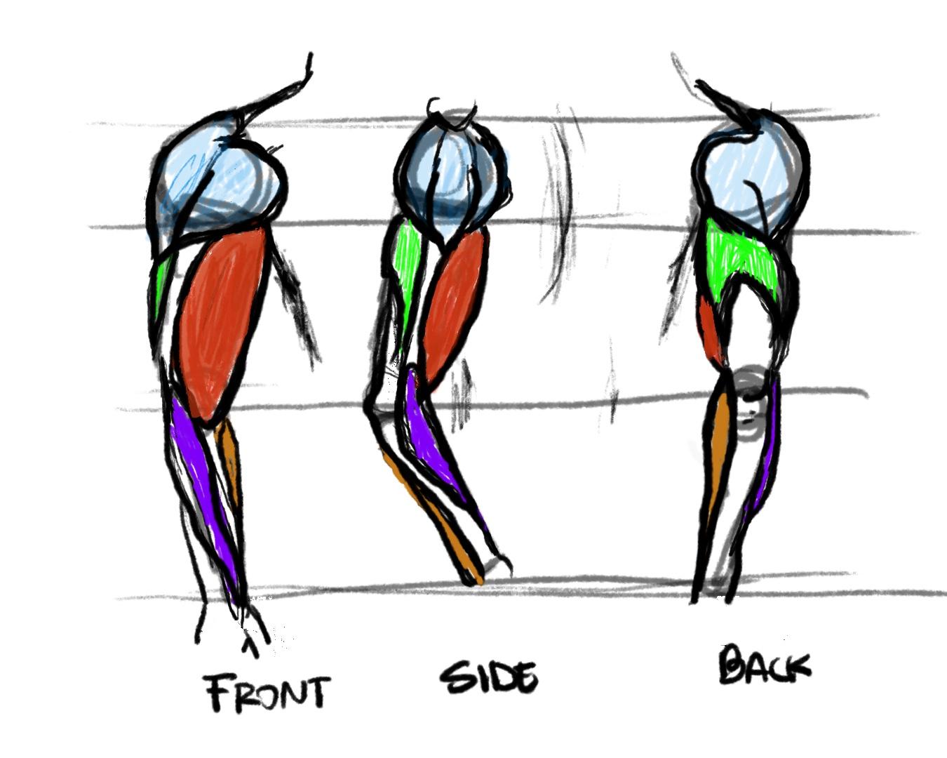 Arms: shape and function - image 2 - student project