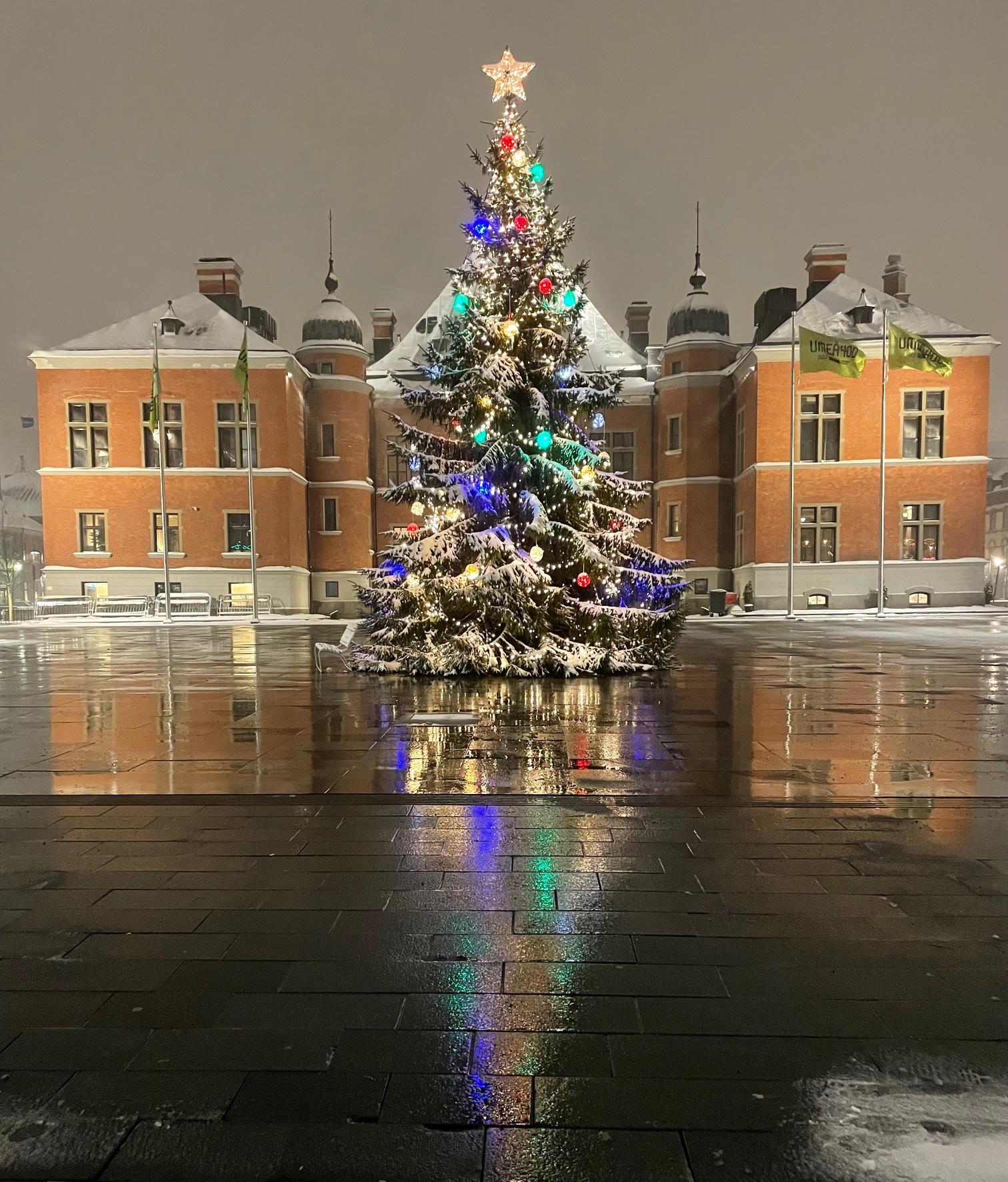 Town hall in december - image 2 - student project