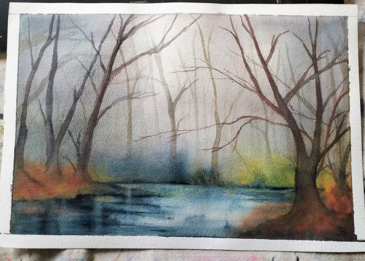 Misty forest - image 1 - student project