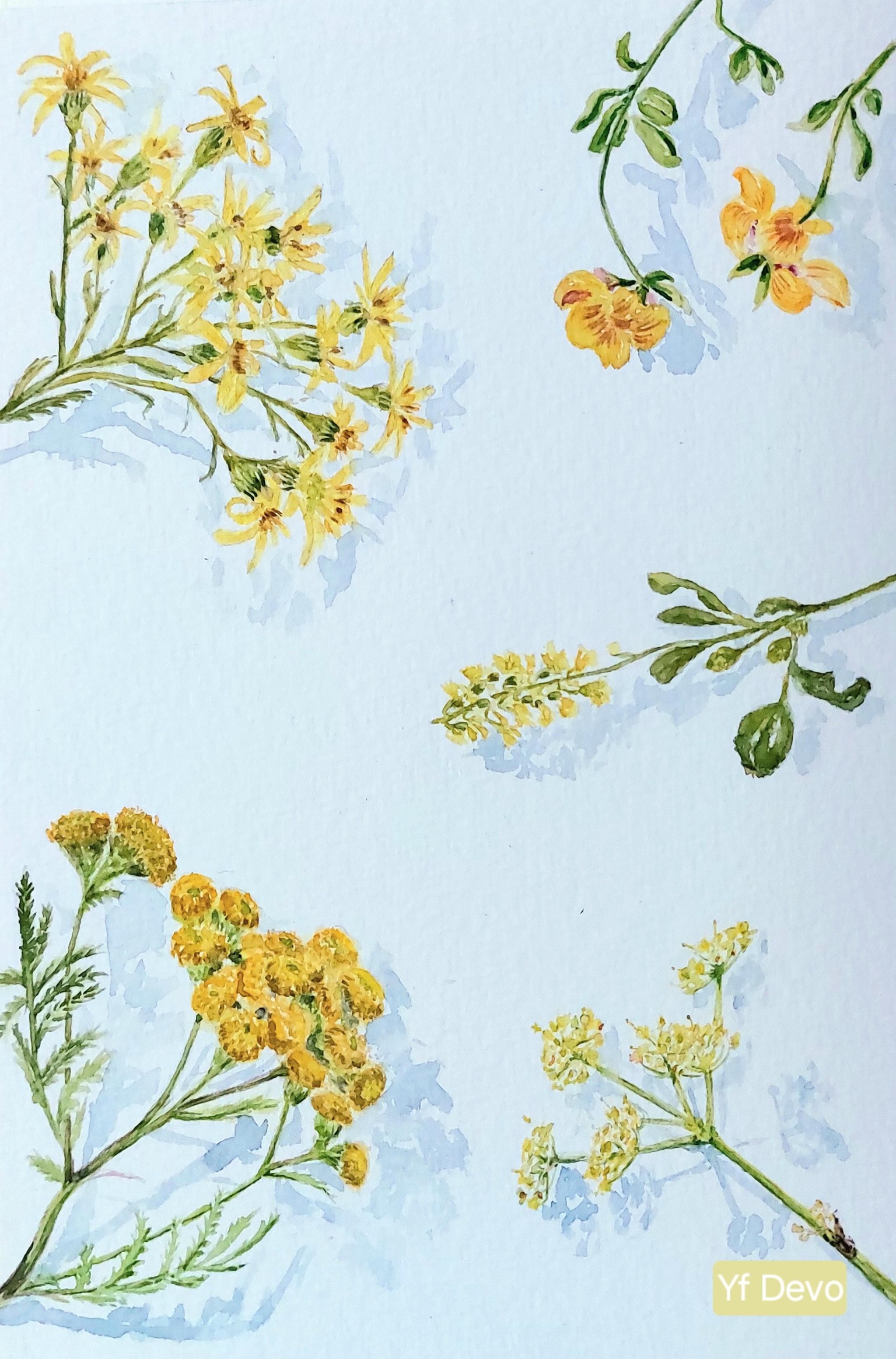 Nature near by home, watercolor practice with Julia Bausenhardt - image 3 - student project