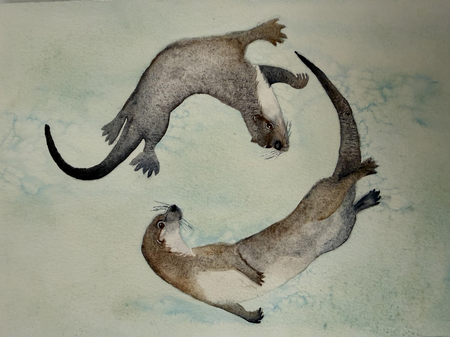 Sea Otters - image 1 - student project