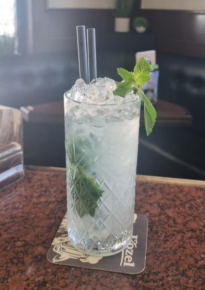 Mojito - image 1 - student project