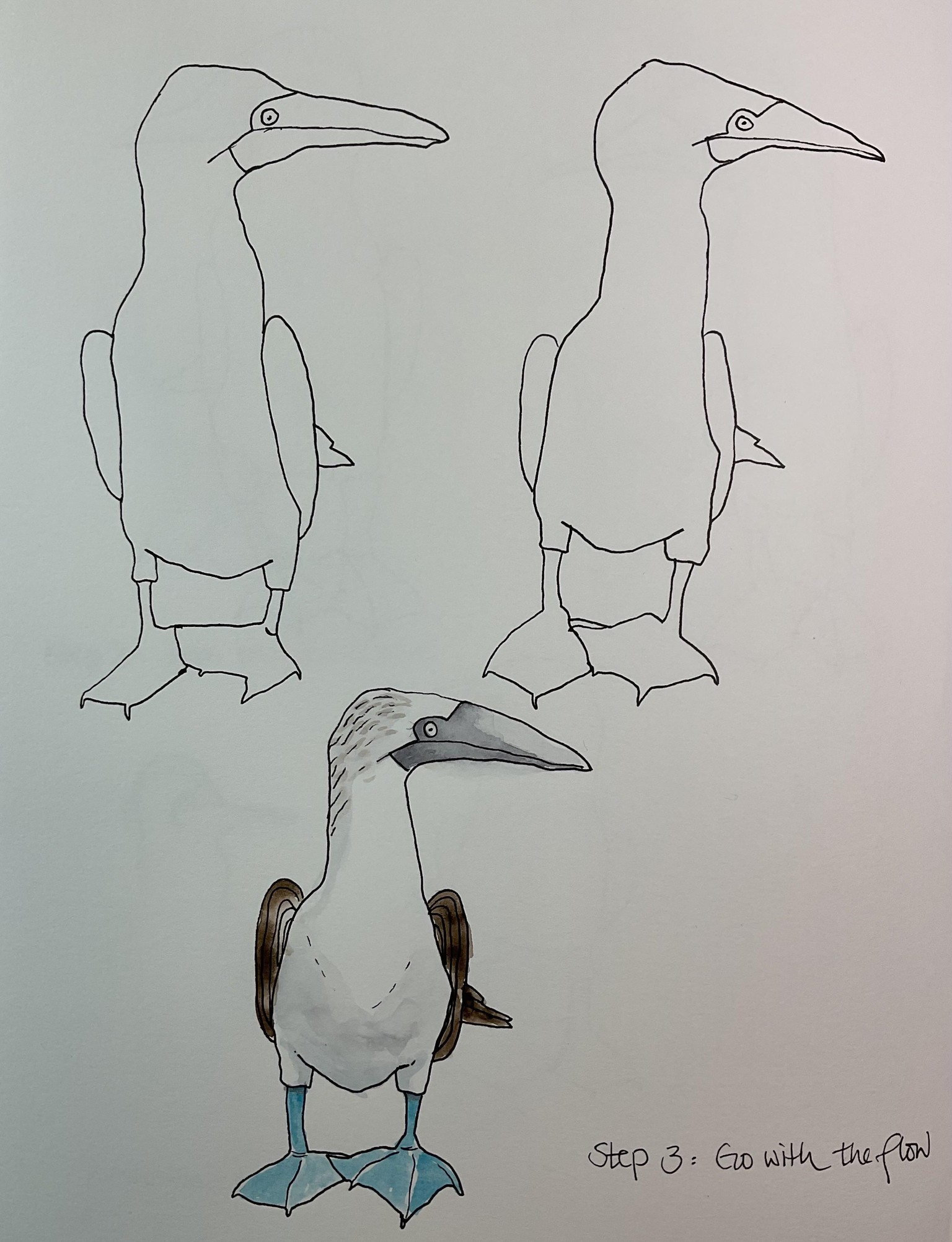 Contour drawing - image 5 - student project